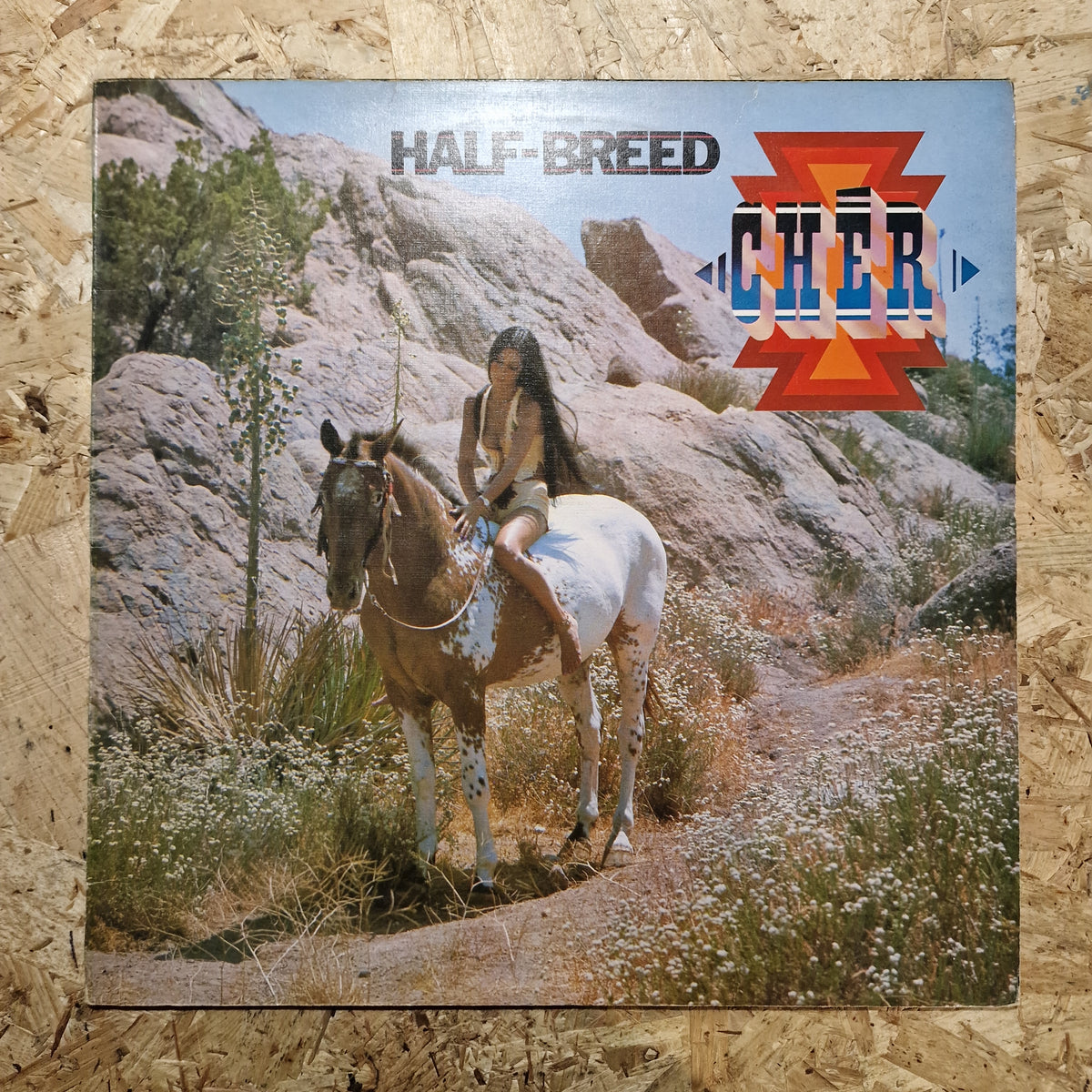 Cher ‎– Half-Breed