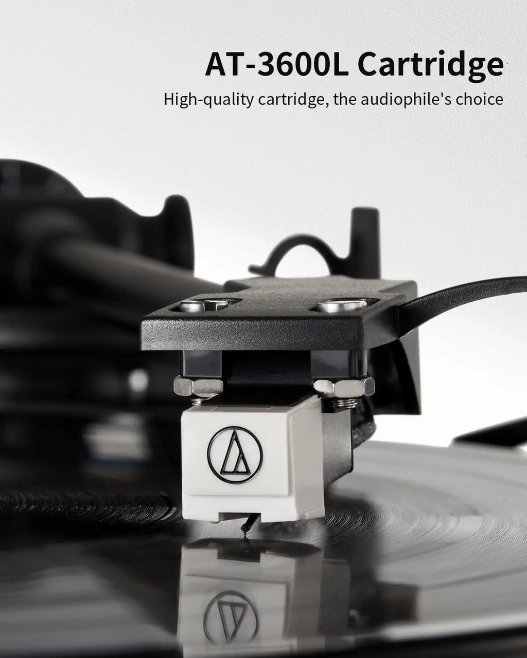 Angels Horn - Turntable + Bookshelf Speakers