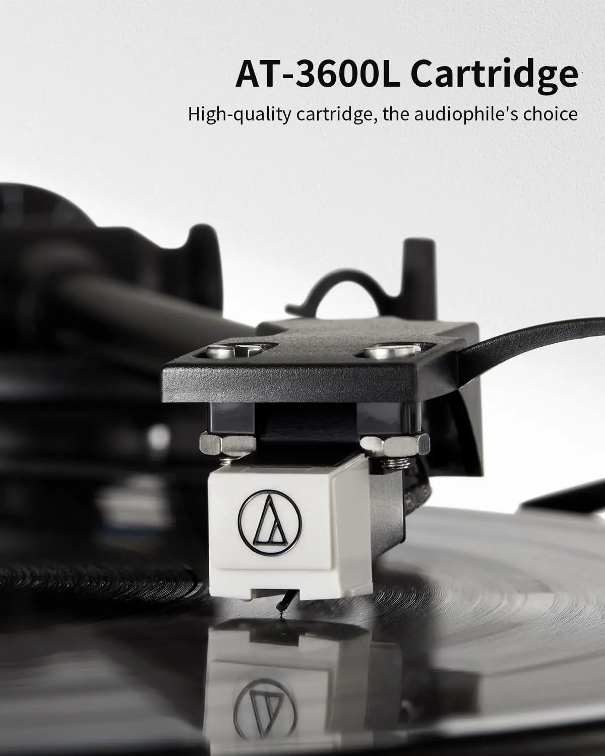 Angels Horn - Turntable + Bookshelf Speakers