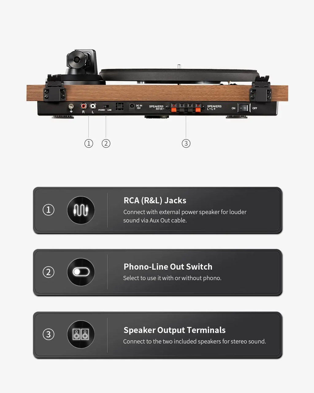 Angels Horn - Turntable + Bookshelf Speakers