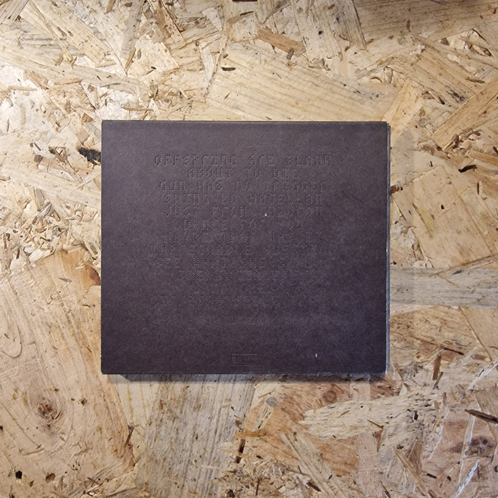 Dirty Projectors – Swing Lo Magellan