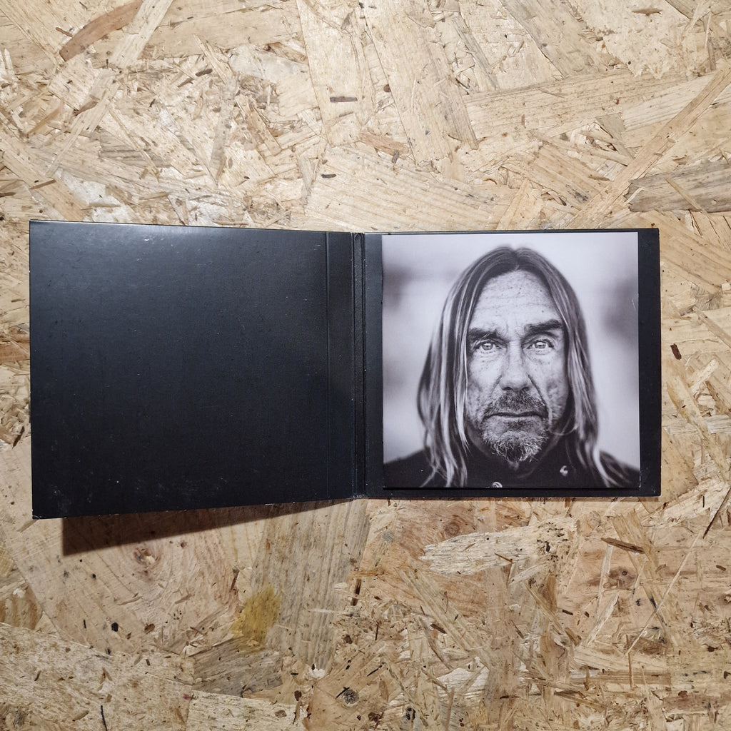 Iggy Pop – Post Pop Depression