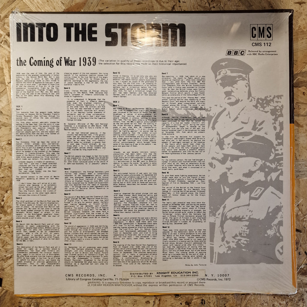 Into The Storm - The Coming Of War 1939