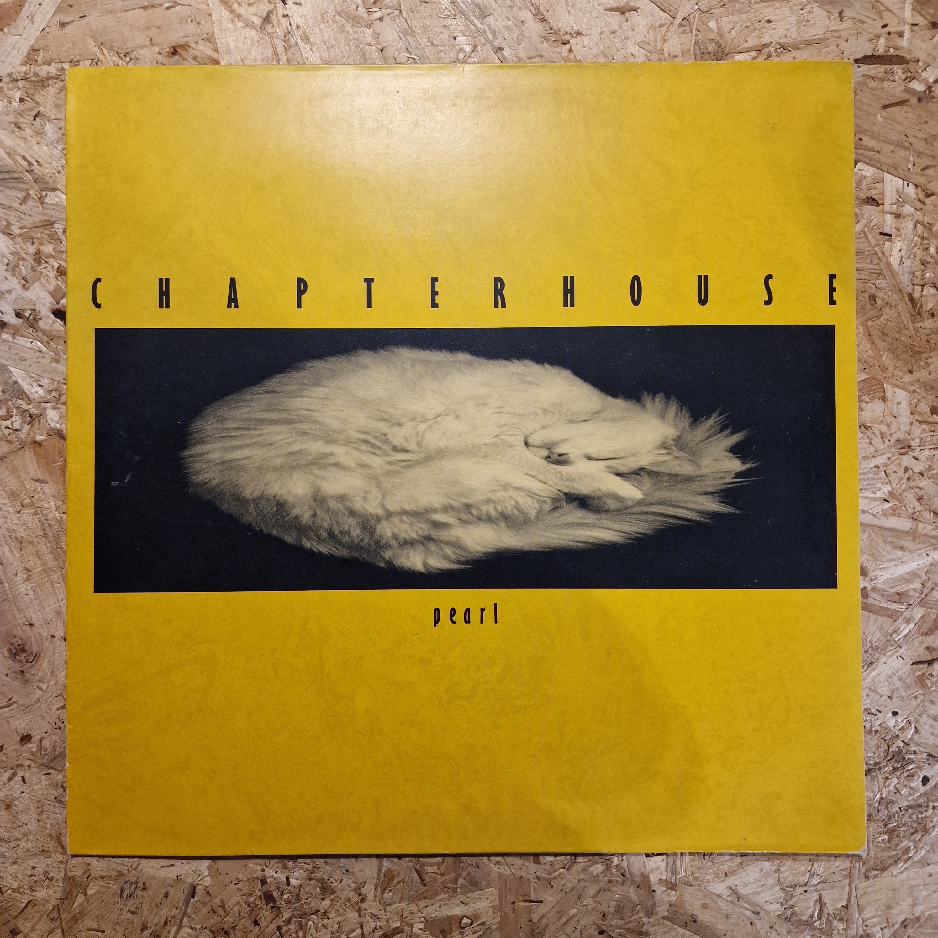 Chapterhouse – Pearl