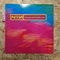 Nine Inch Nails – Head Like A Hole