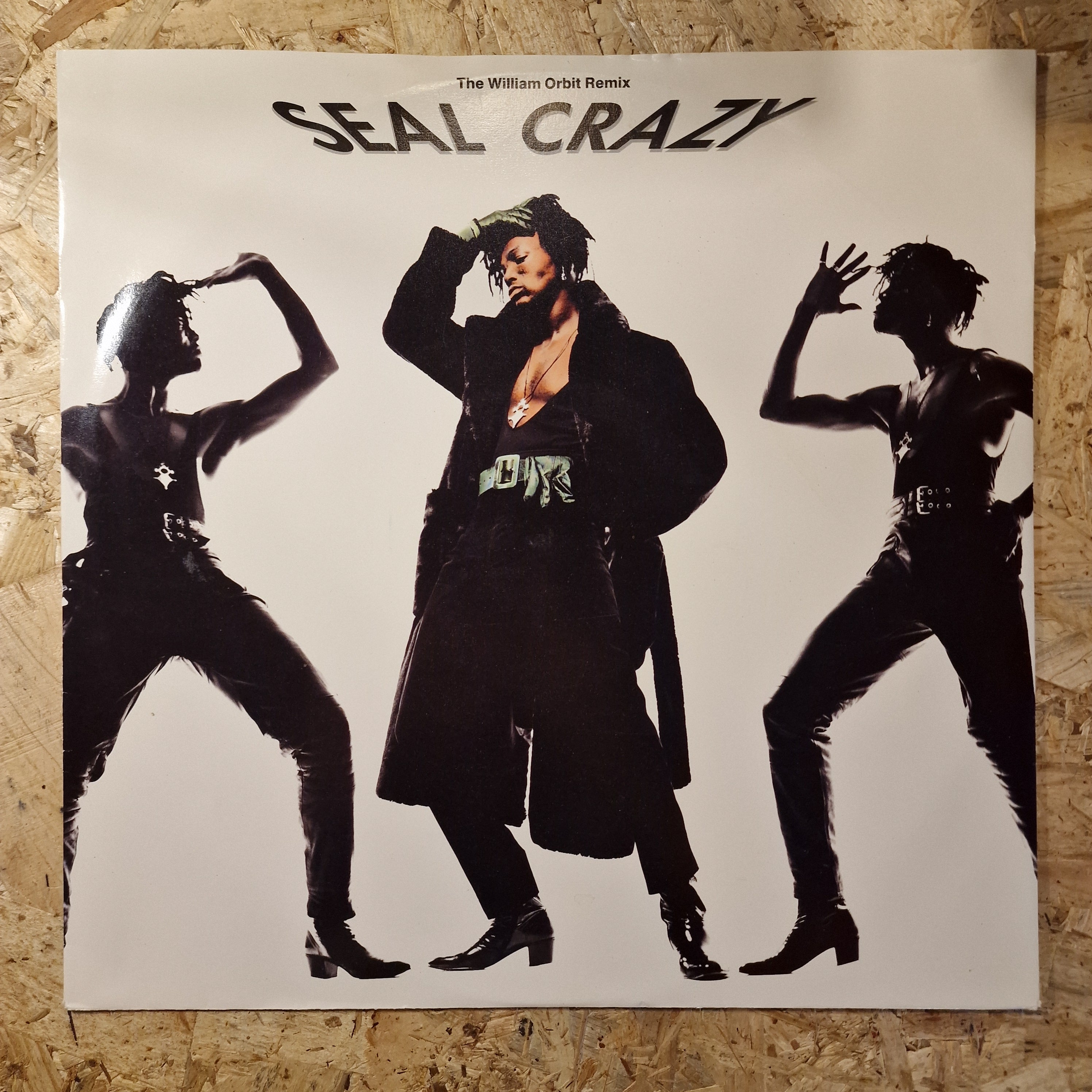 Seal ‎– Crazy (The William Orbit Remix)