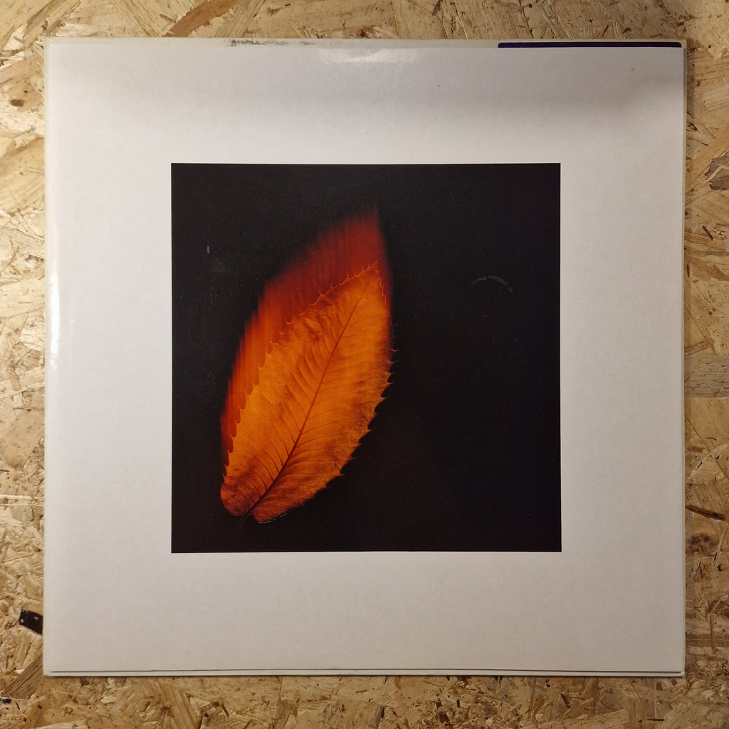 Peter Gabriel – Shaking The Tree (Twelve Golden Greats)