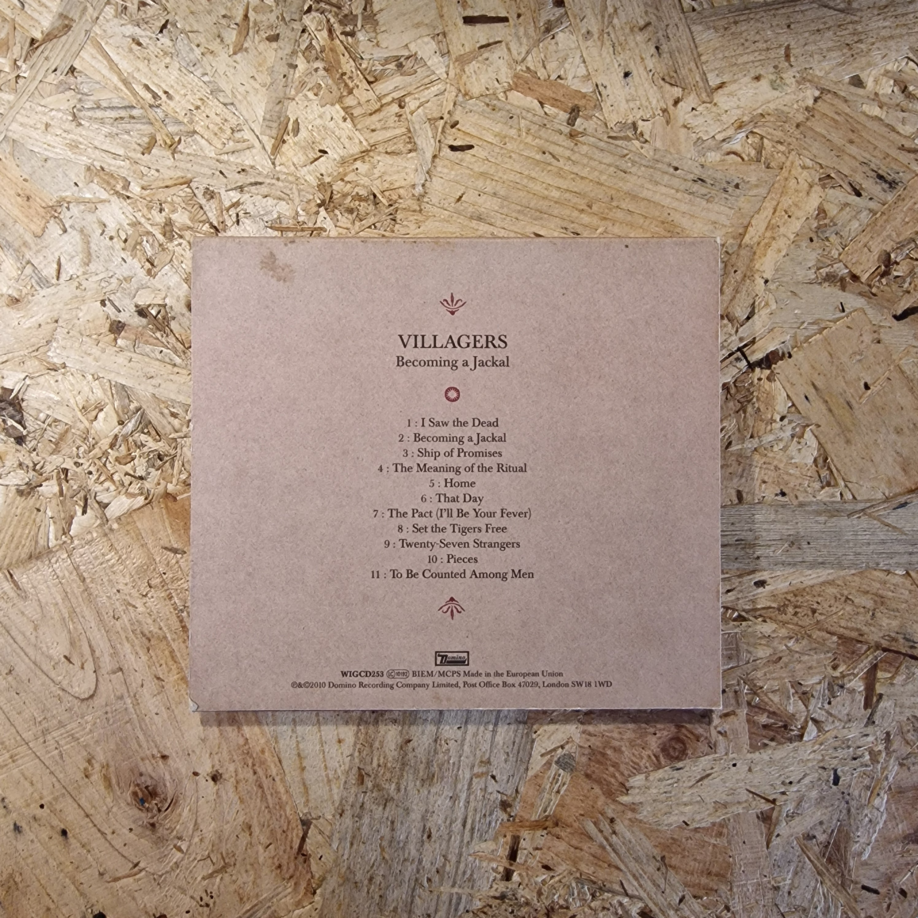 Villagers – Becoming A Jackal