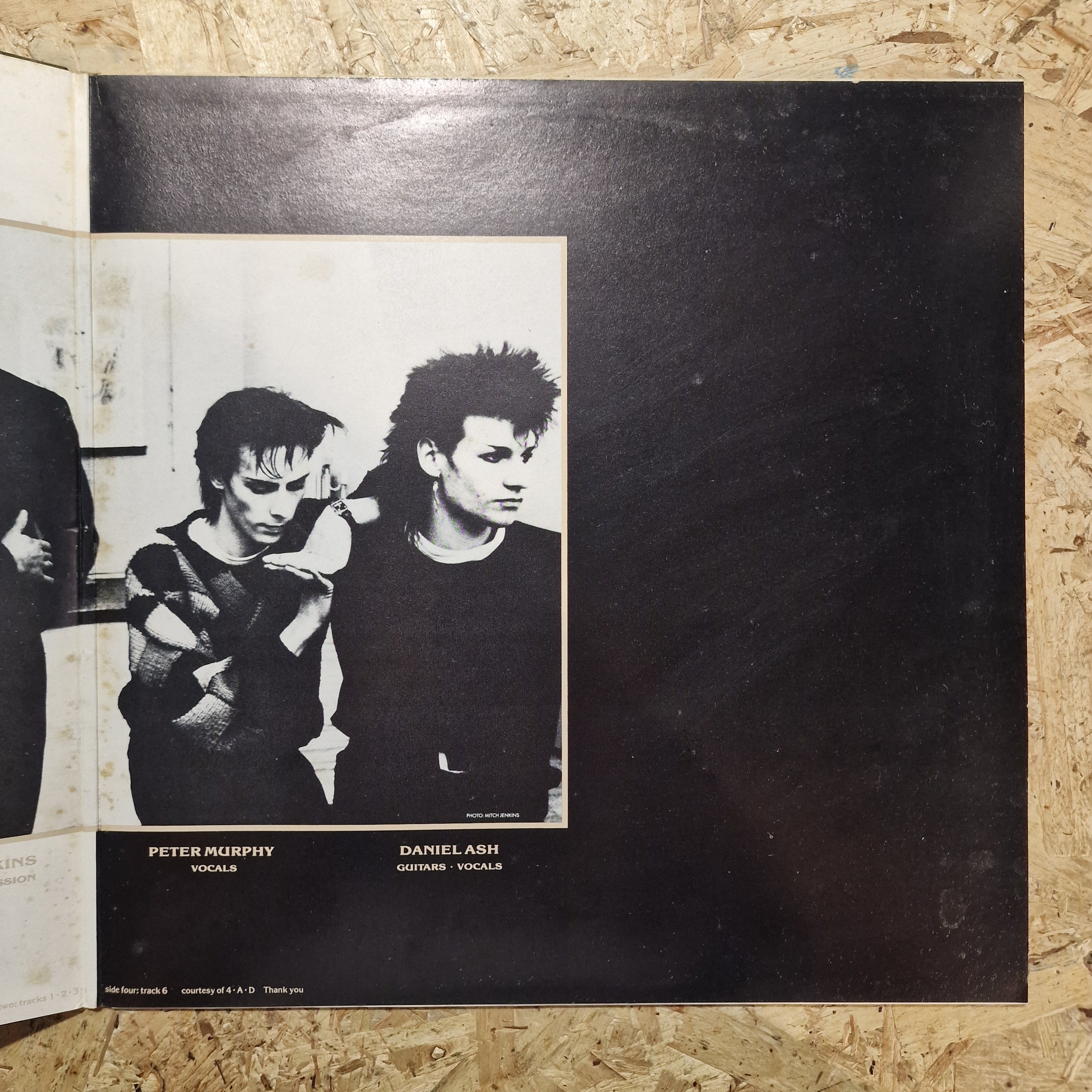 Bauhaus – 1979-1983