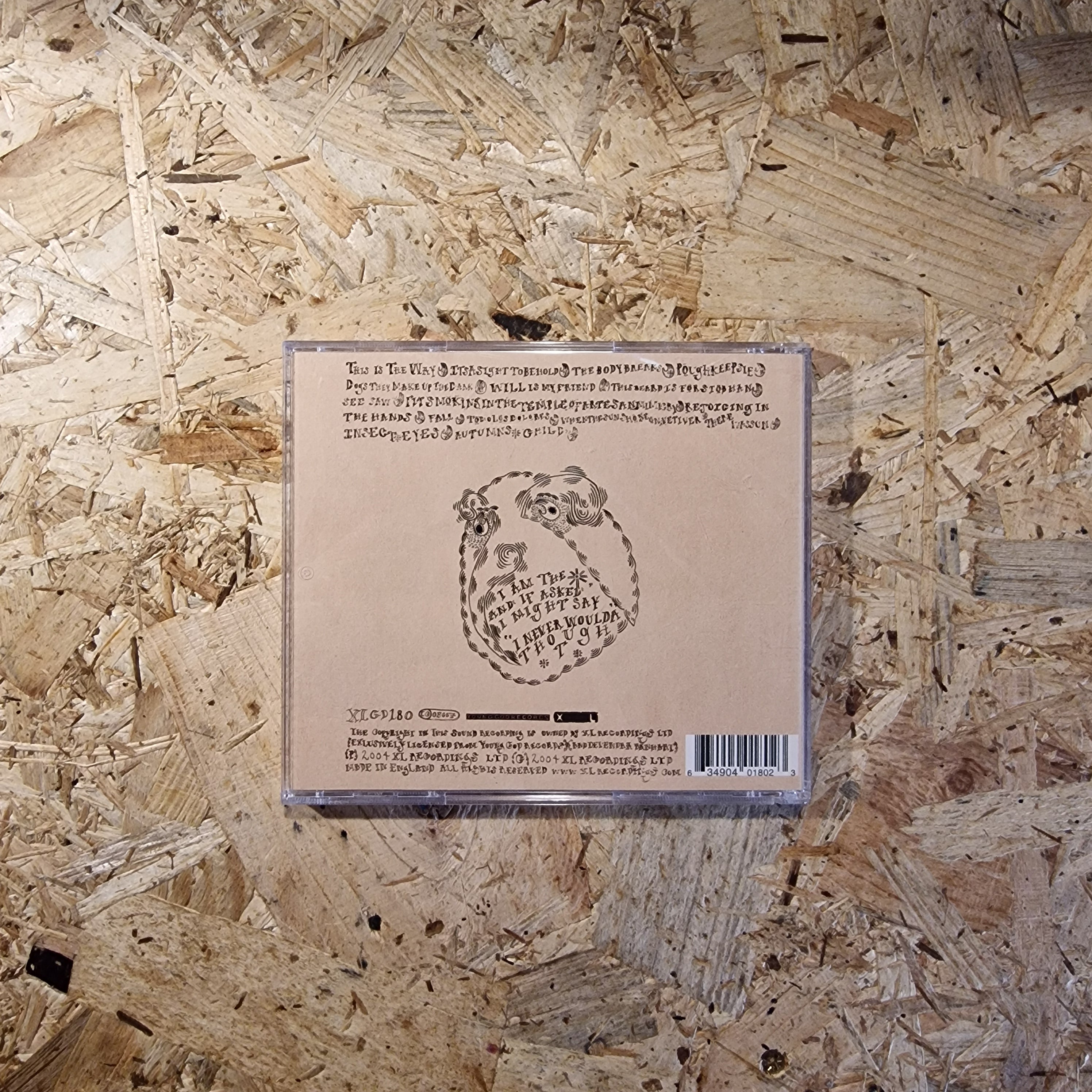 Devendra Banhart – Rejoicing In The Hands