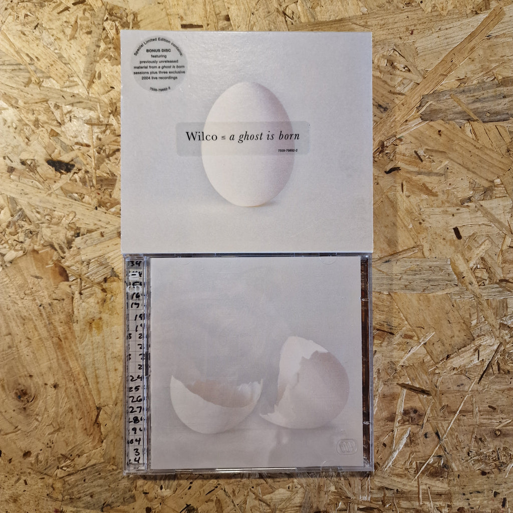 Wilco – A Ghost Is Born