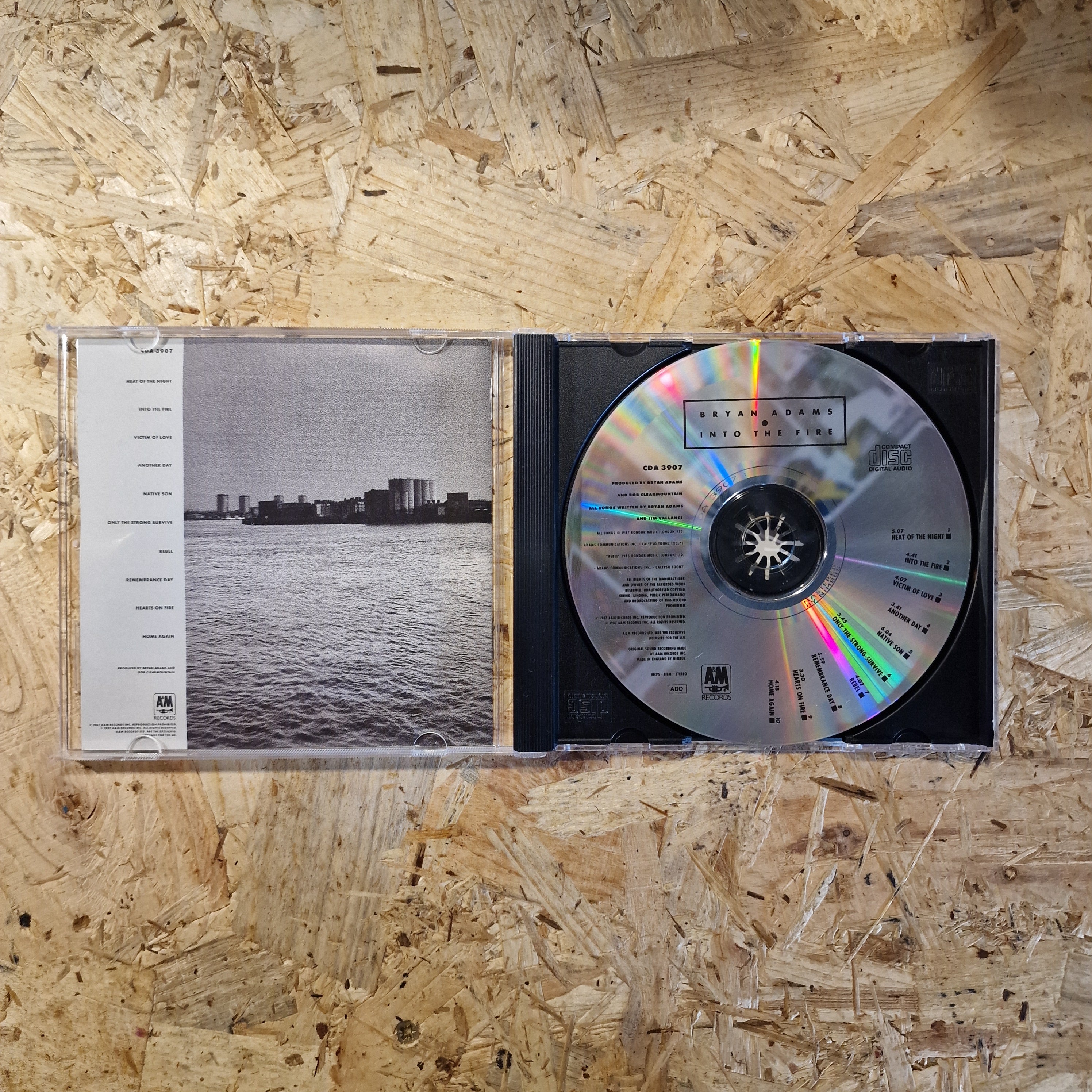 Bryan Adams – Into The Fire