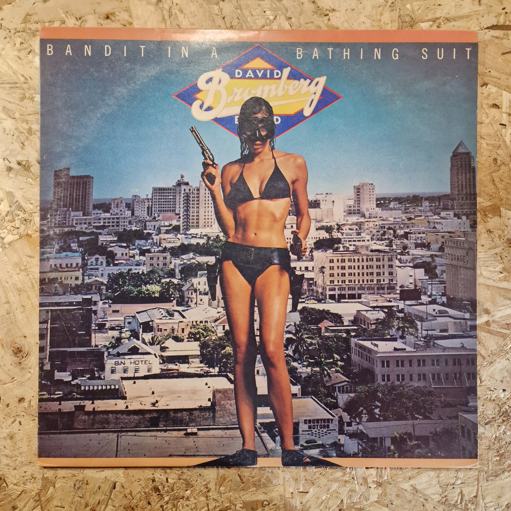 David Bromberg Band – Bandit In A Bathing Suit