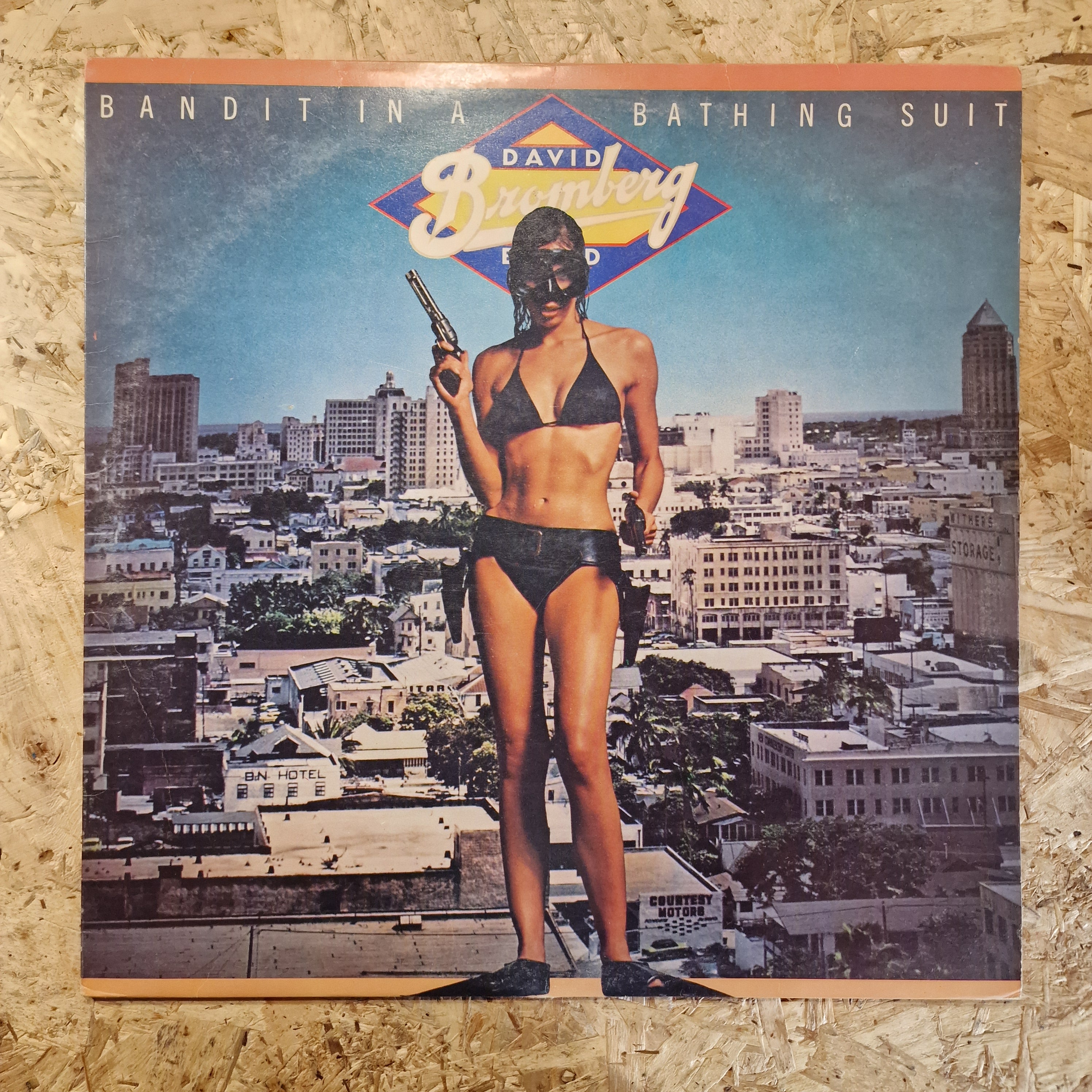 David Bromberg Band – Bandit In A Bathing Suit