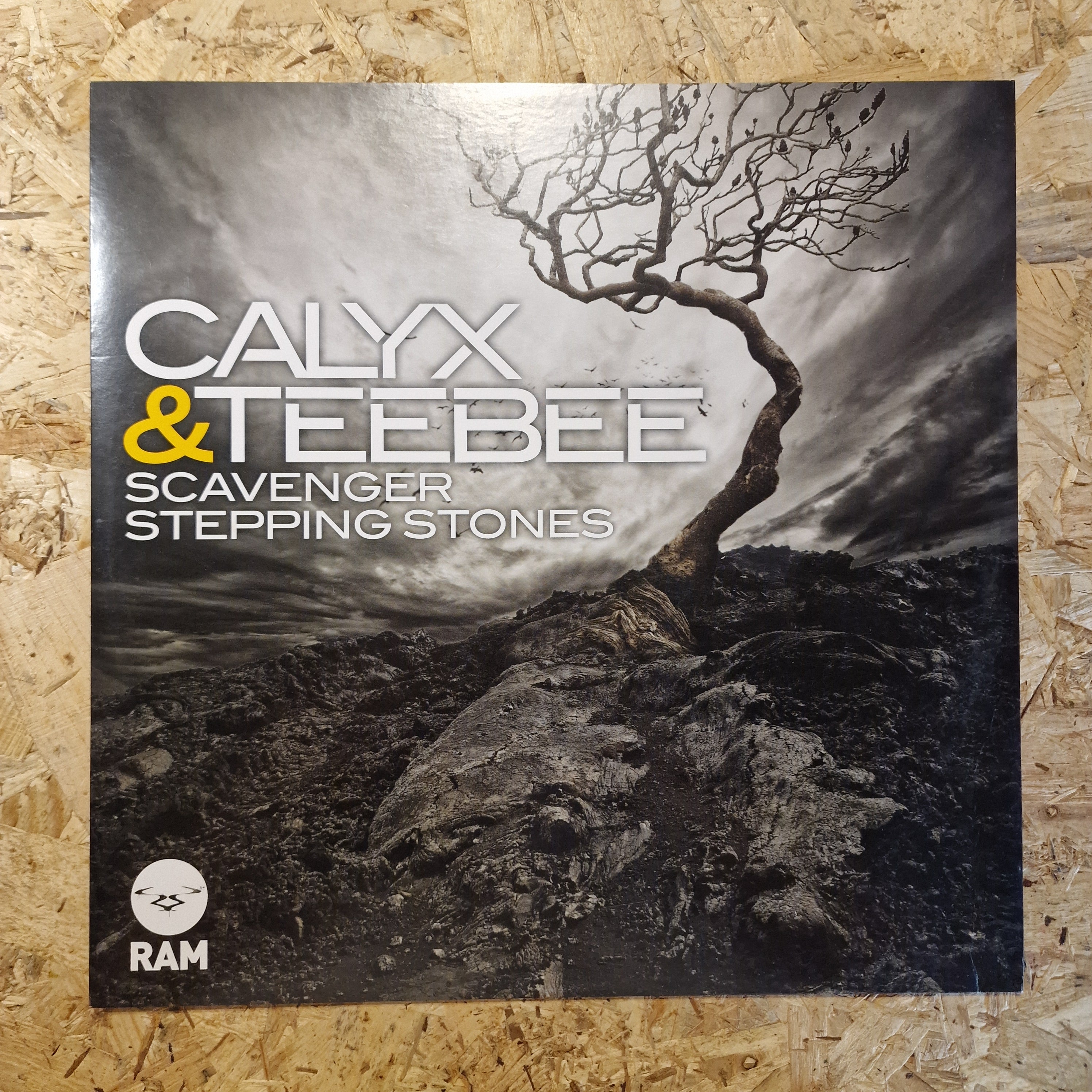 Calyx & Teebee – Scavenger / Stepping Stones