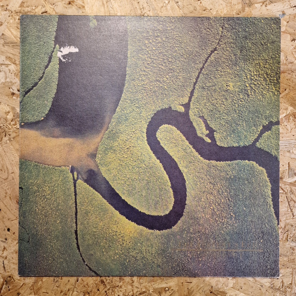Dead Can Dance – The Serpent's Egg