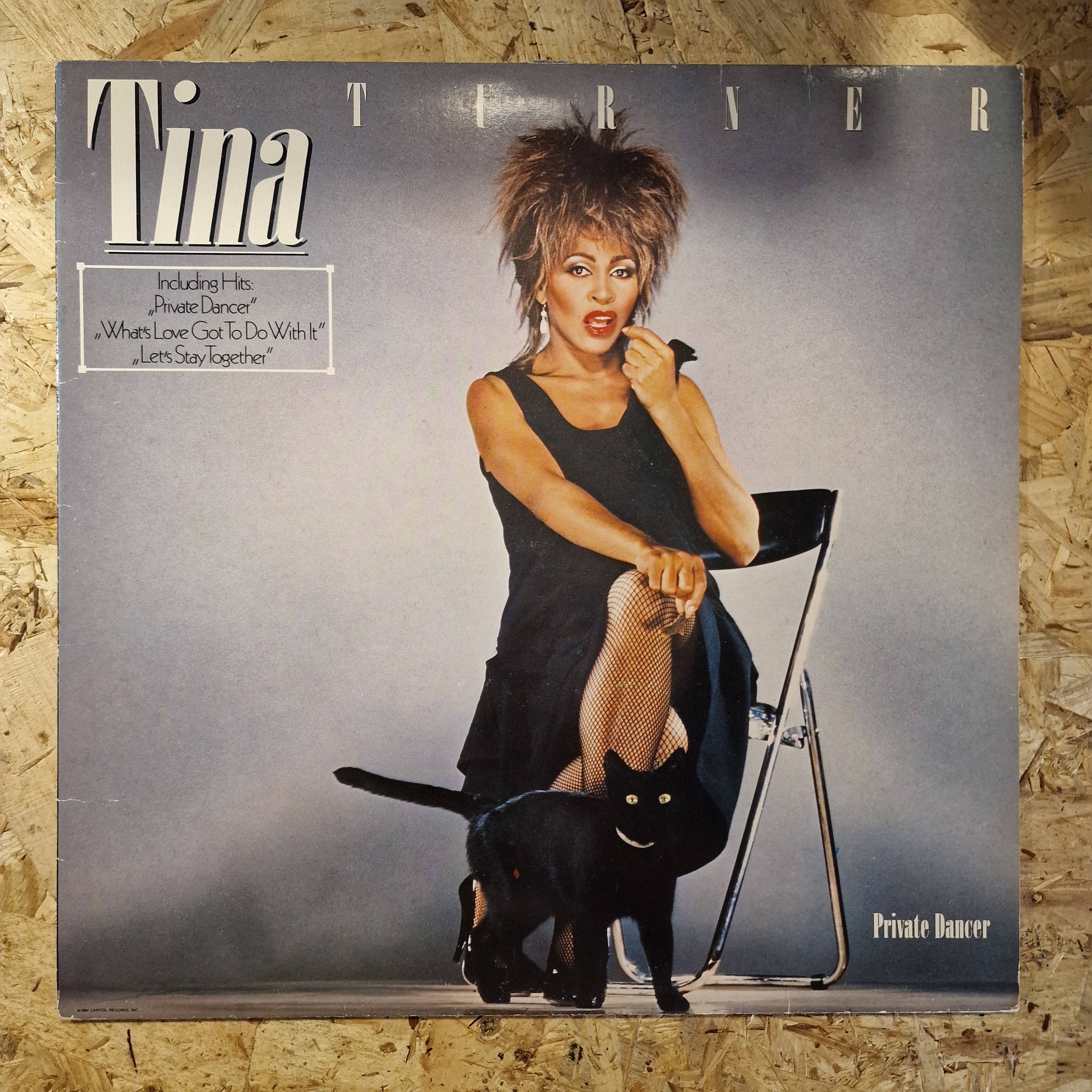 Tina Turner – Private Dancer