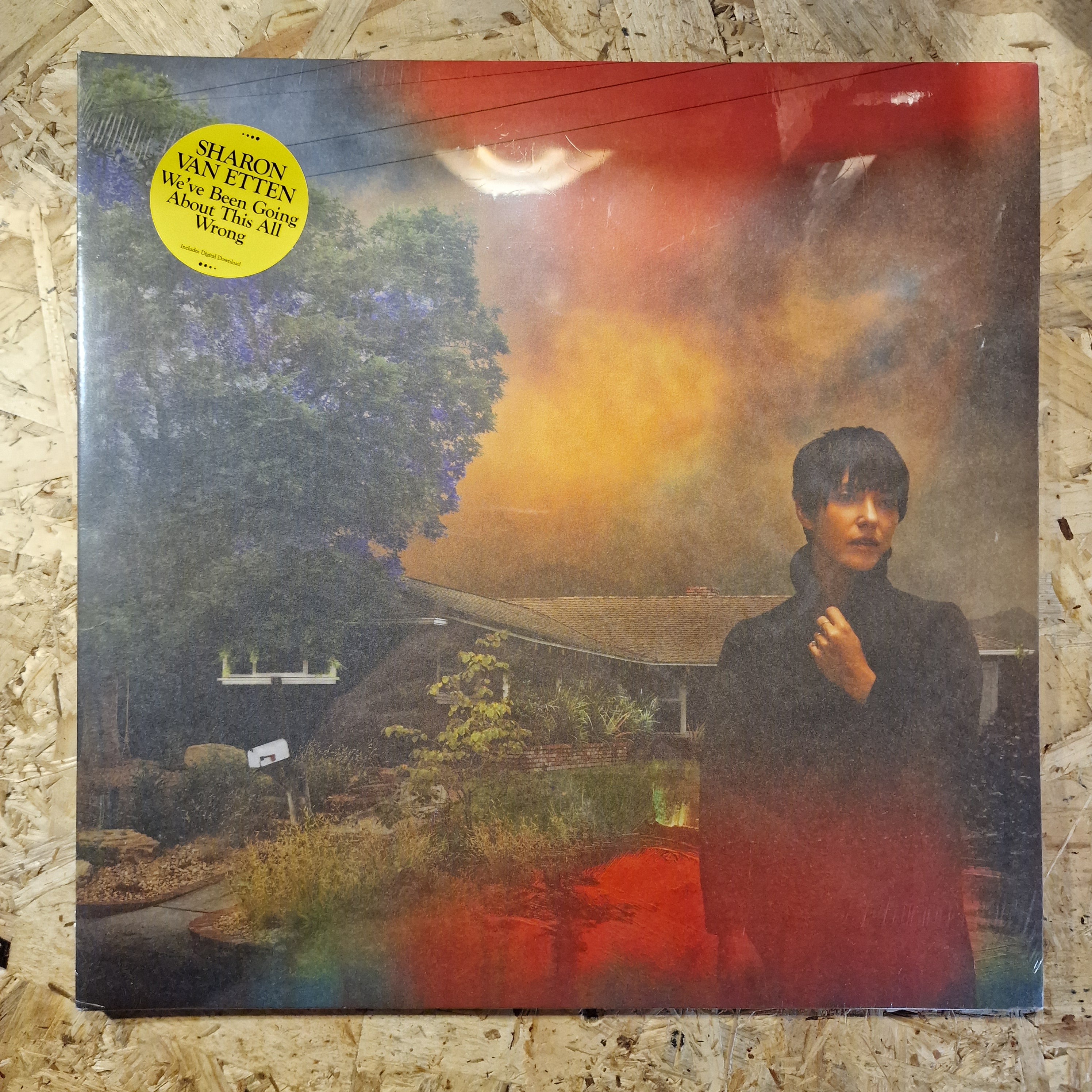 Sharon Van Etten – We've Been Going About This All Wrong