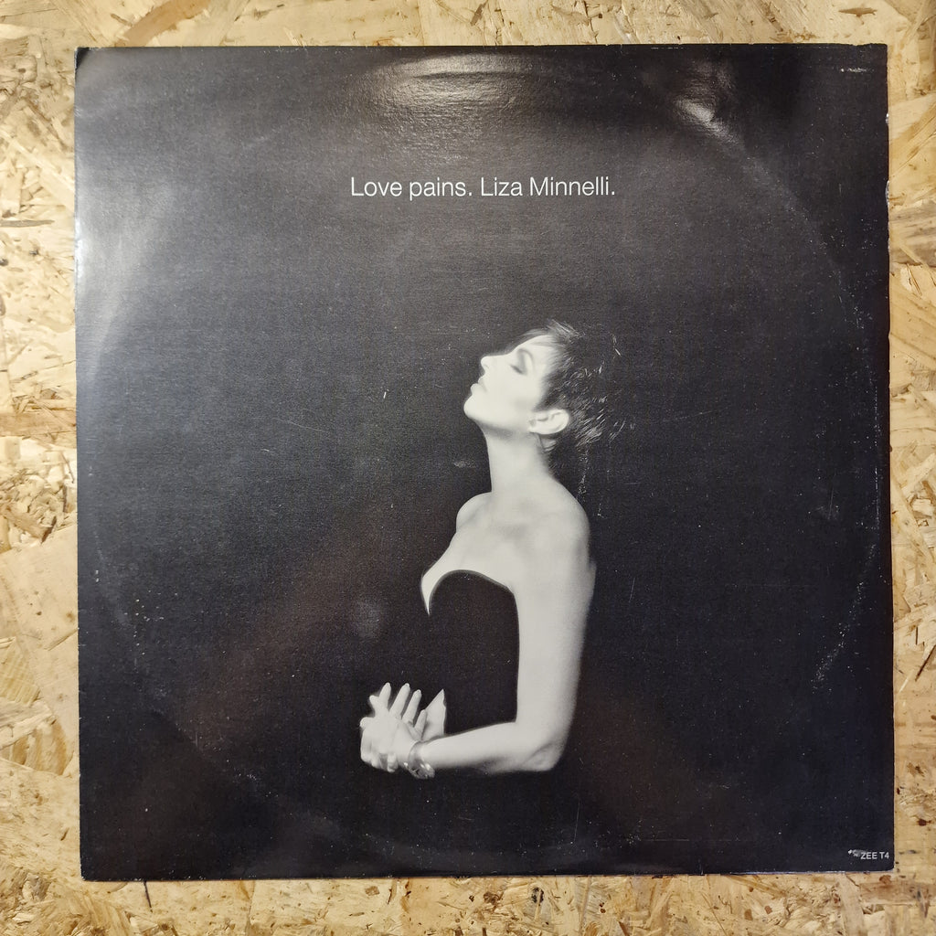 Liza Minnelli – Love Pains
