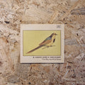 A Hawk And A Hacksaw – The Way The Wind Blows