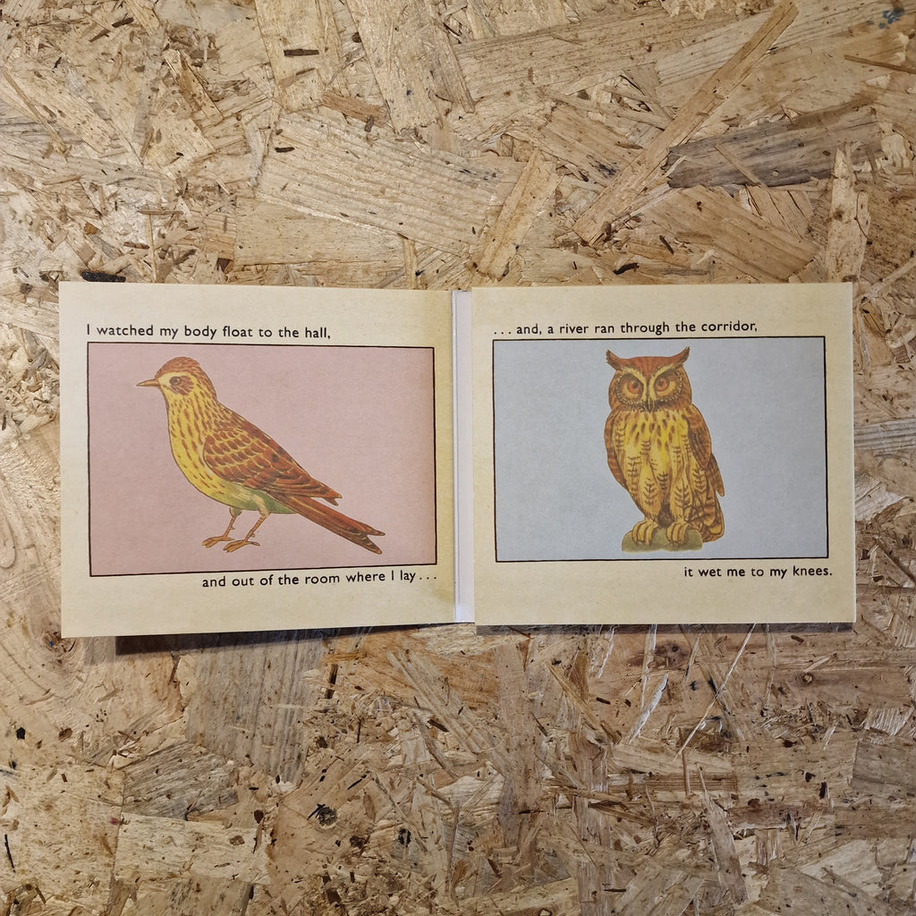 A Hawk And A Hacksaw – The Way The Wind Blows
