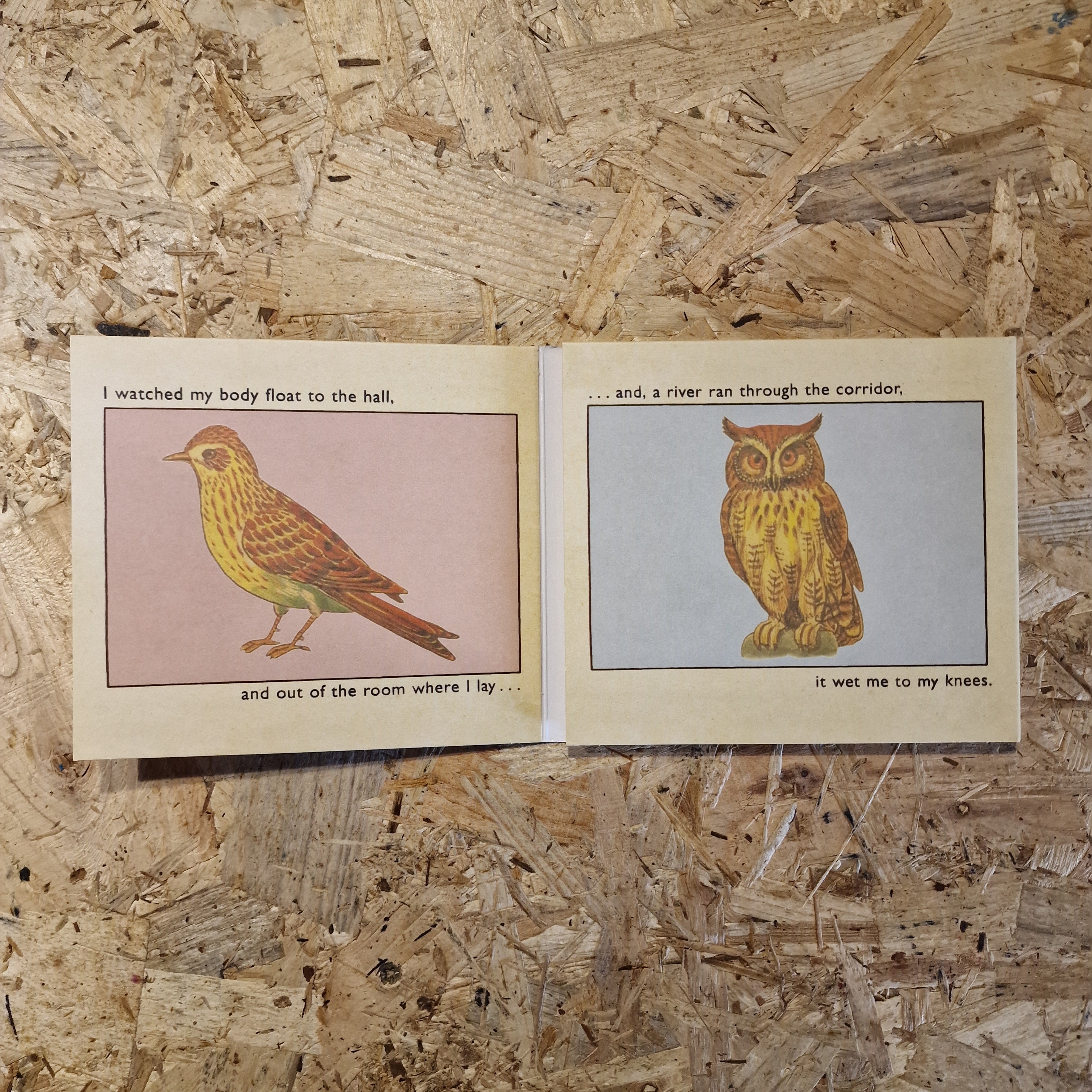 A Hawk And A Hacksaw – The Way The Wind Blows