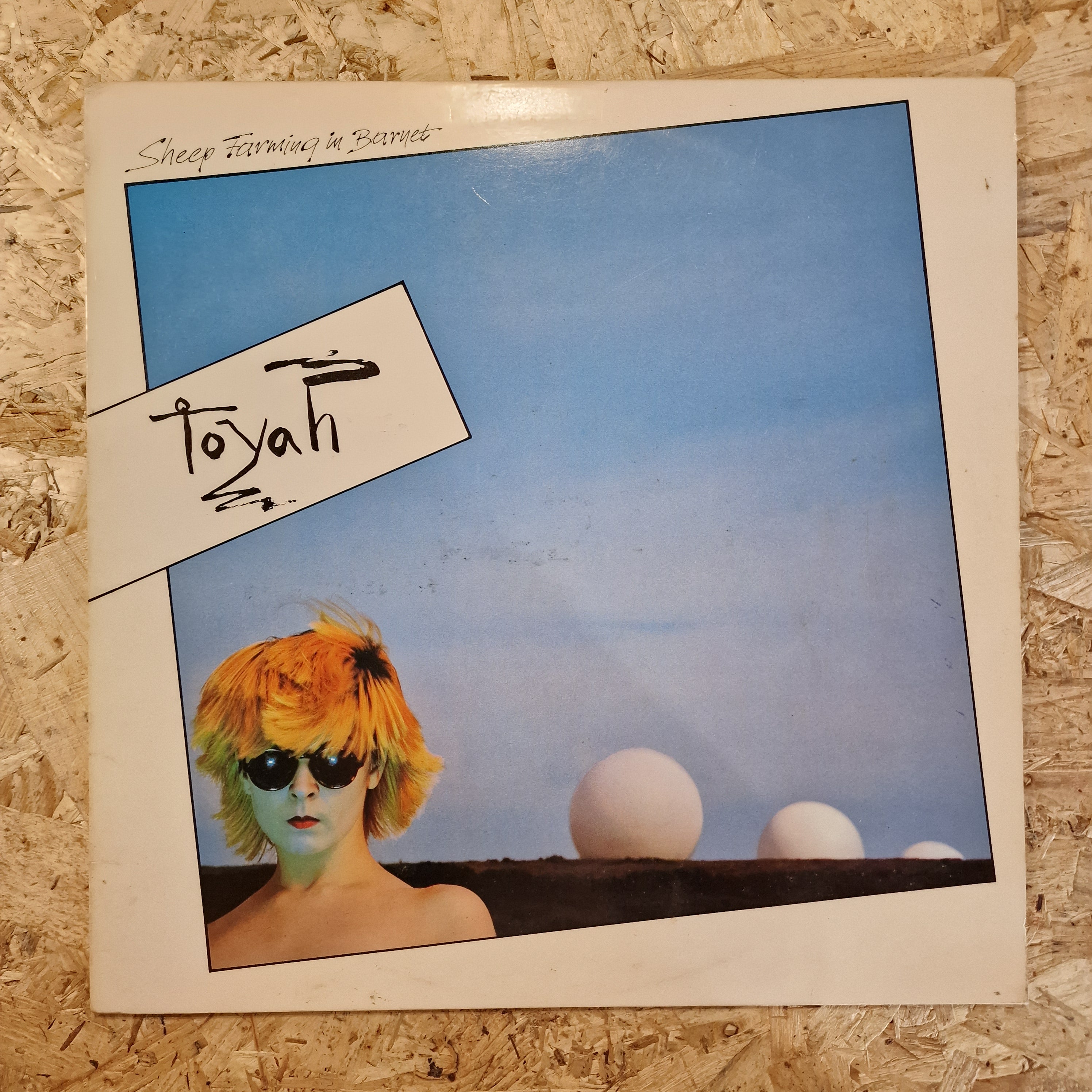 Toyah – Sheep Farming In Barnet
