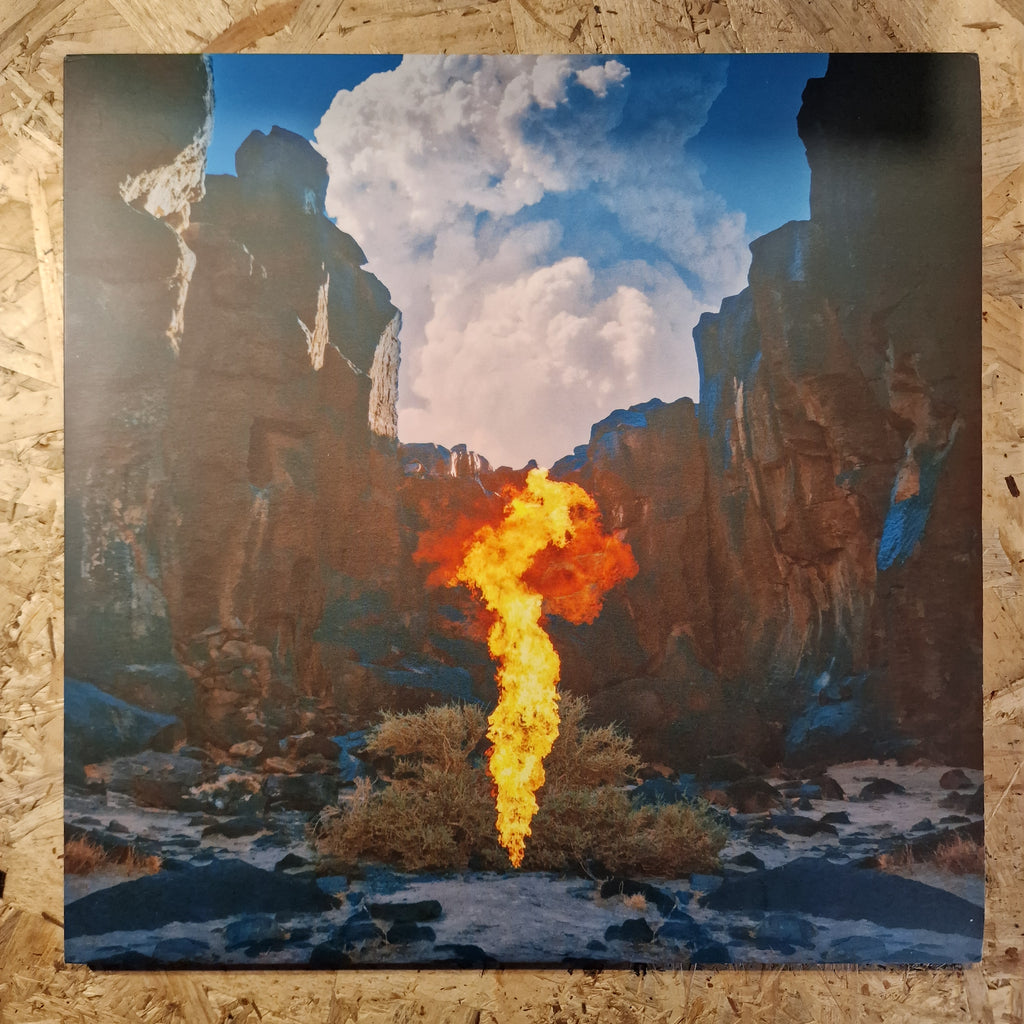 Bonobo – Migration