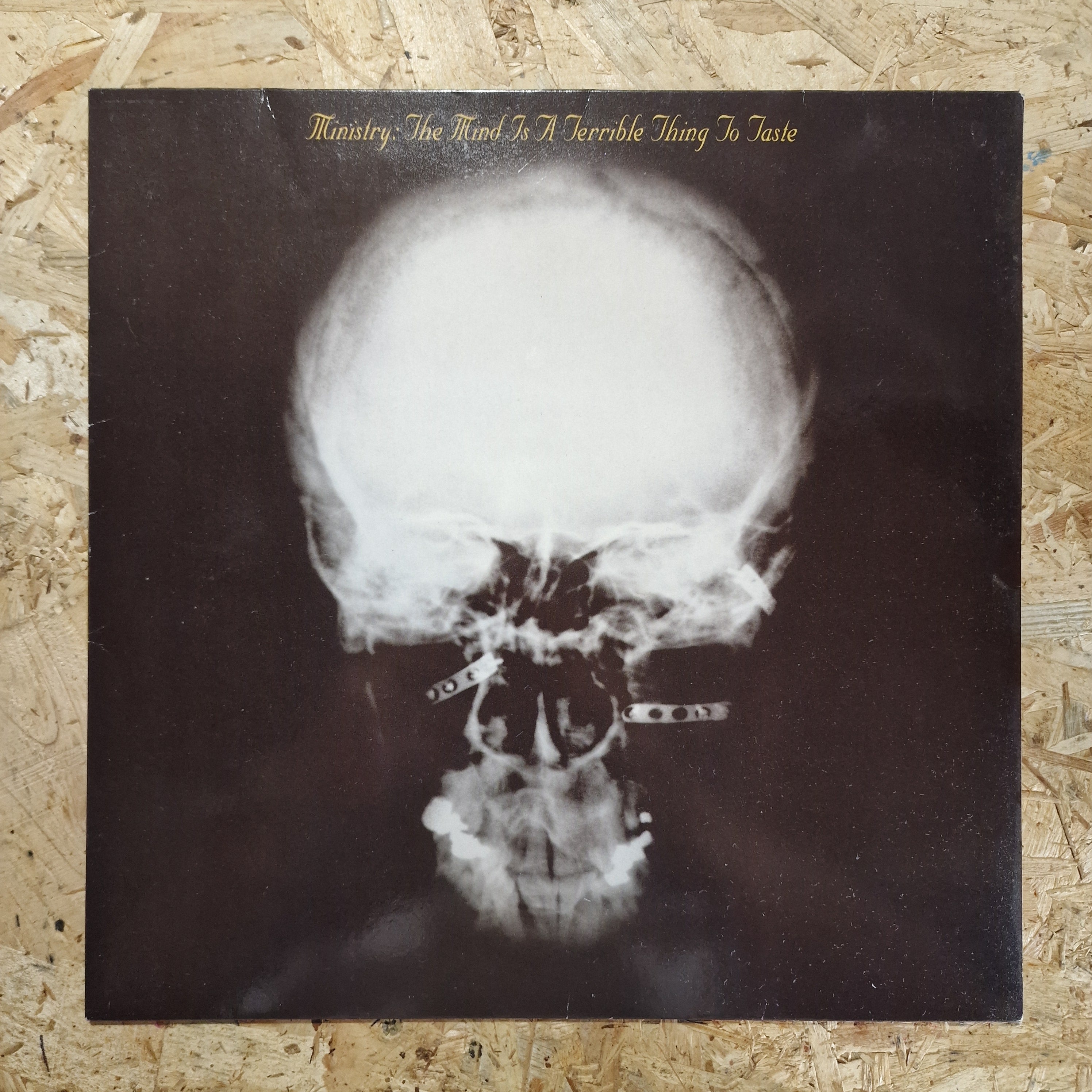 Ministry – The Mind Is A Terrible Thing To Taste