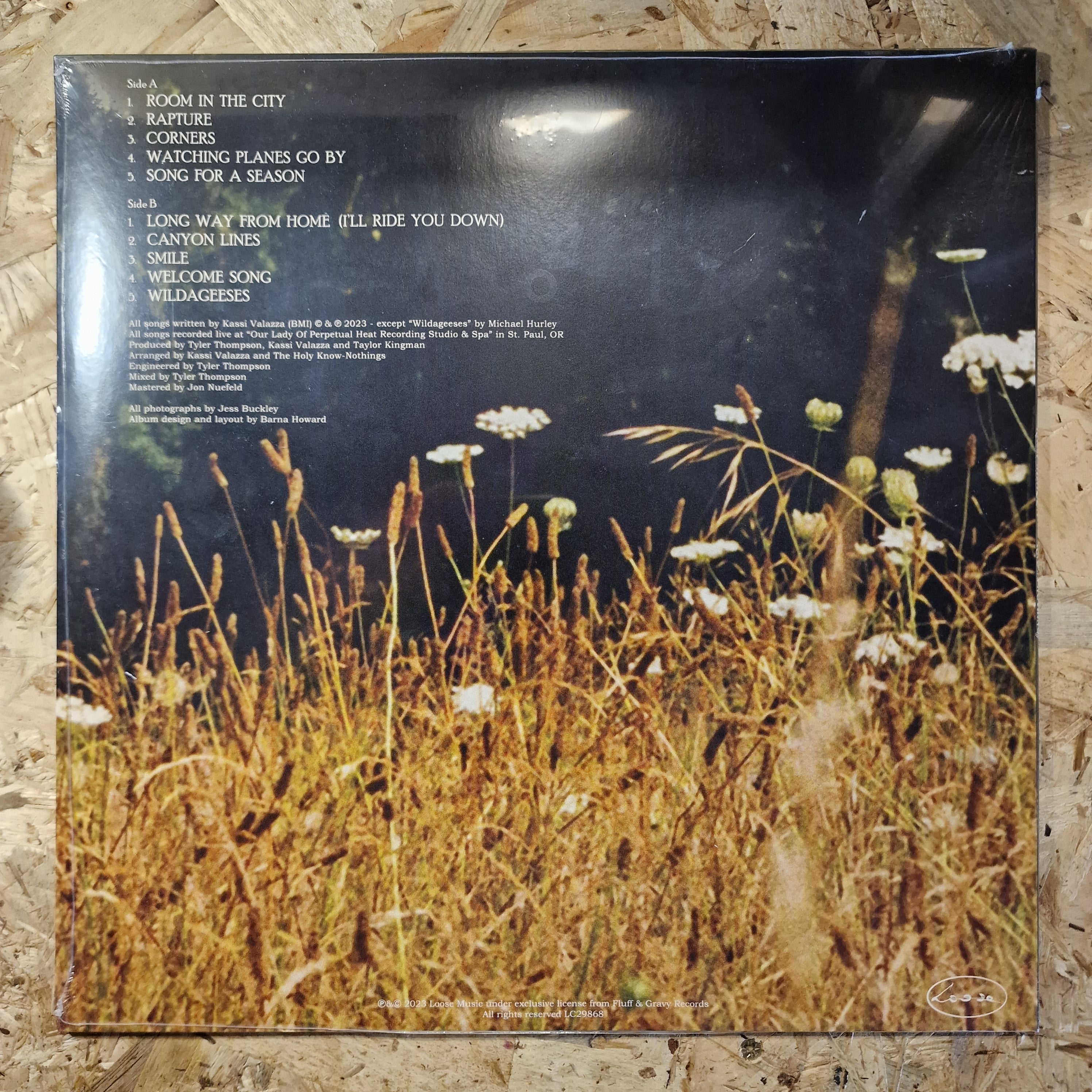 Kassi Valazza – Kassi Valazza Knows Nothing