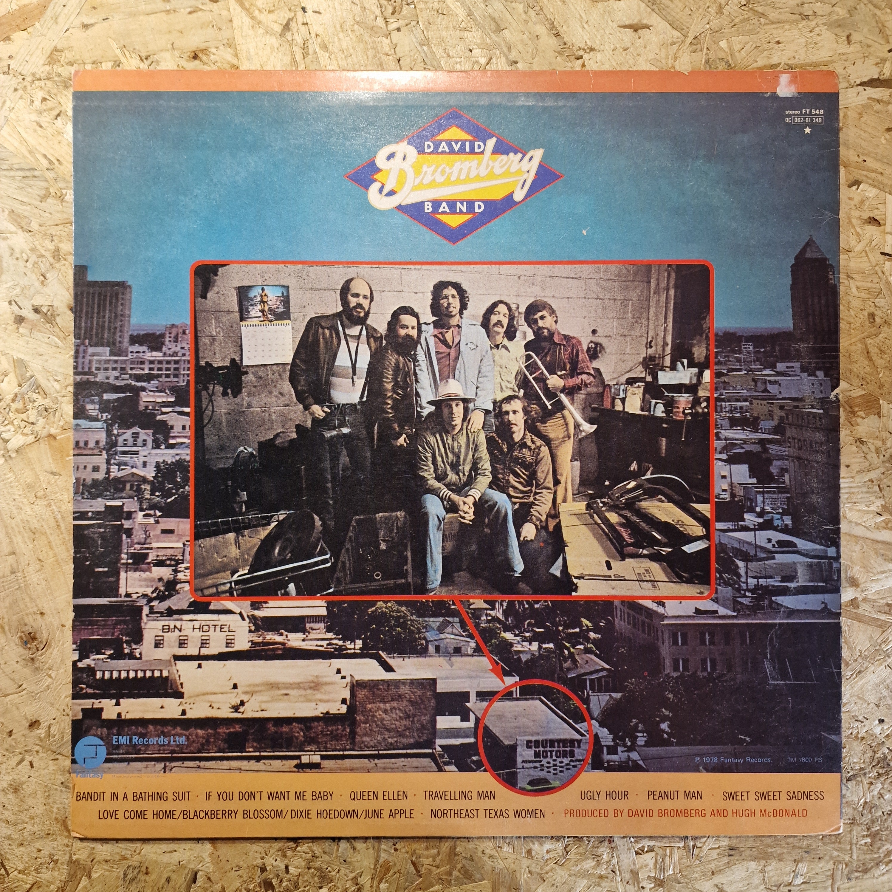 David Bromberg Band – Bandit In A Bathing Suit