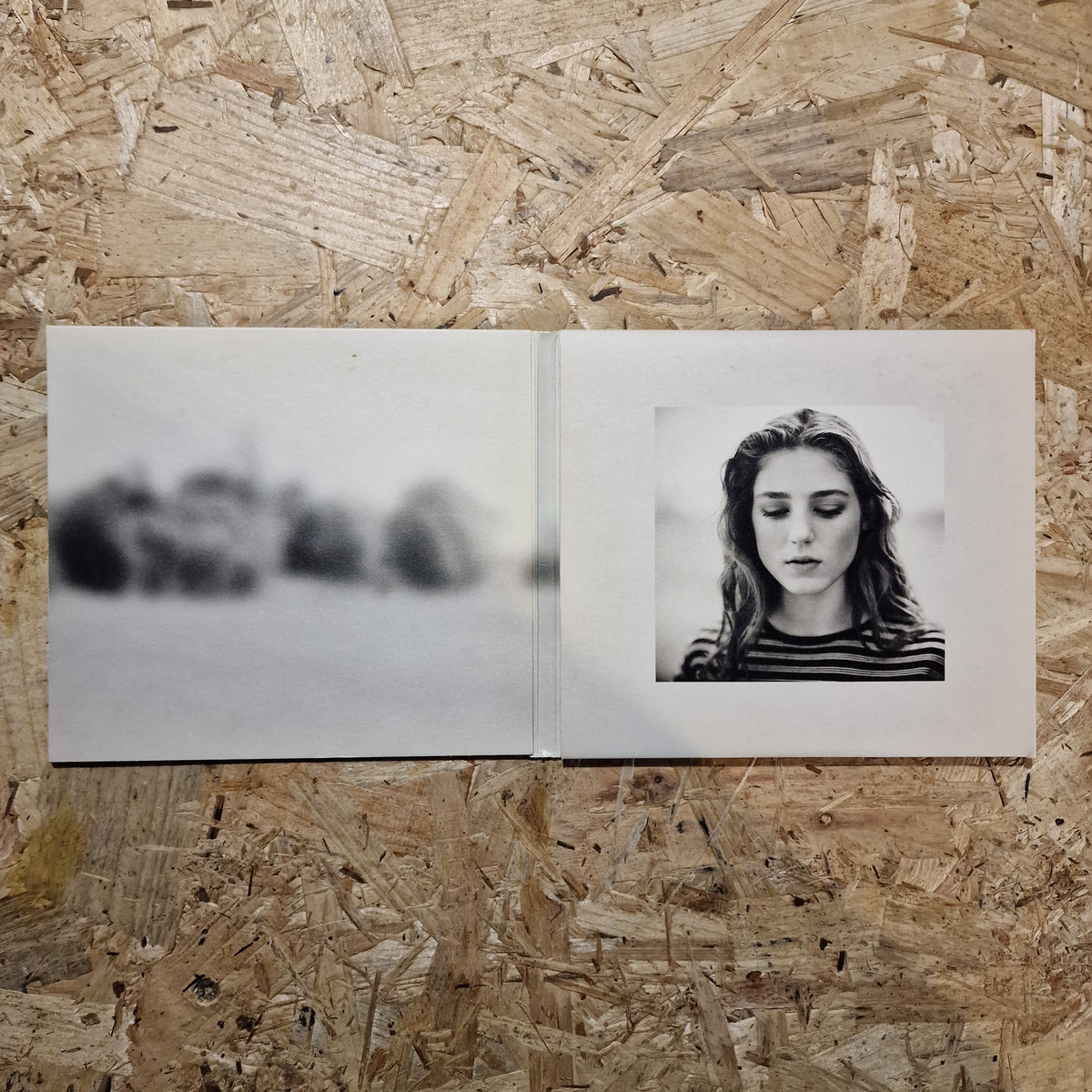 Birdy – Fire Within