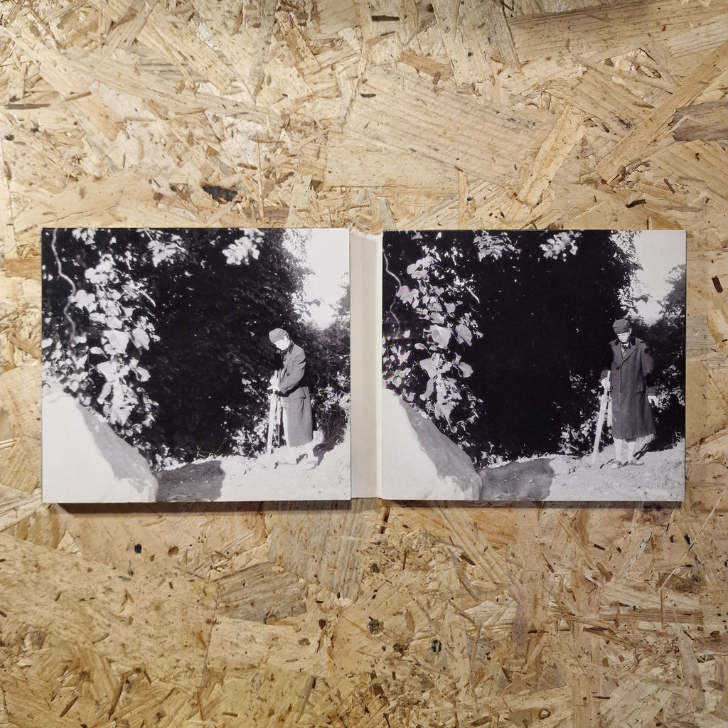 Lou Reed – The Raven