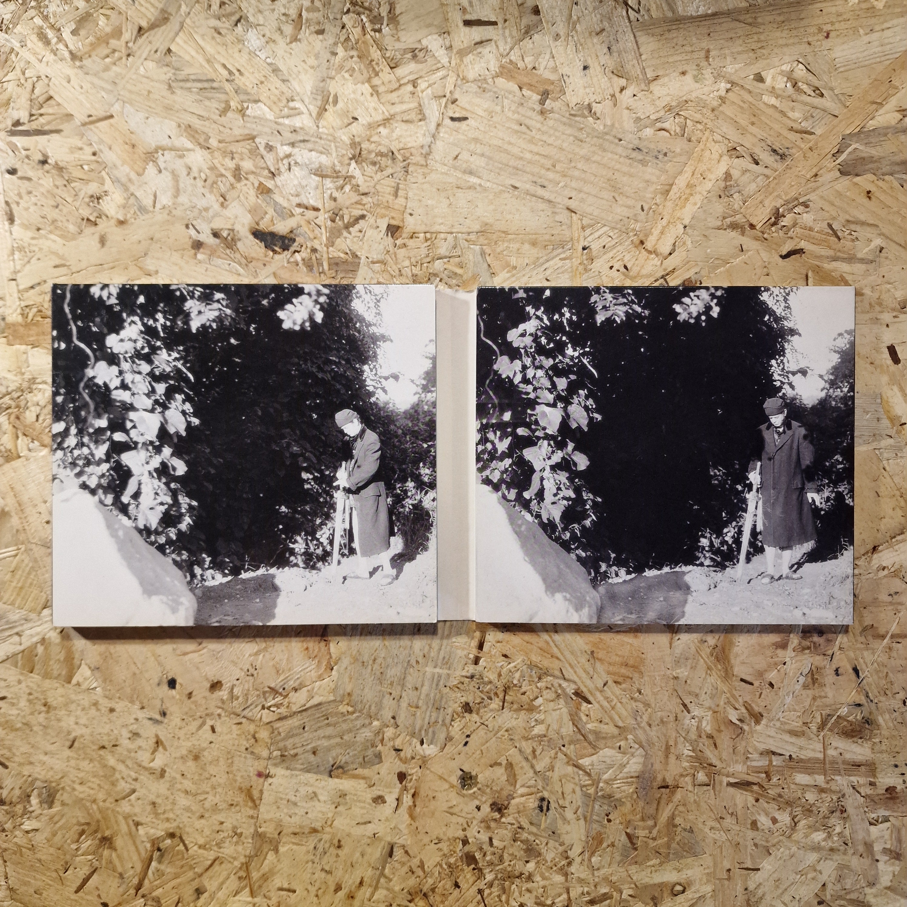 Lou Reed – The Raven