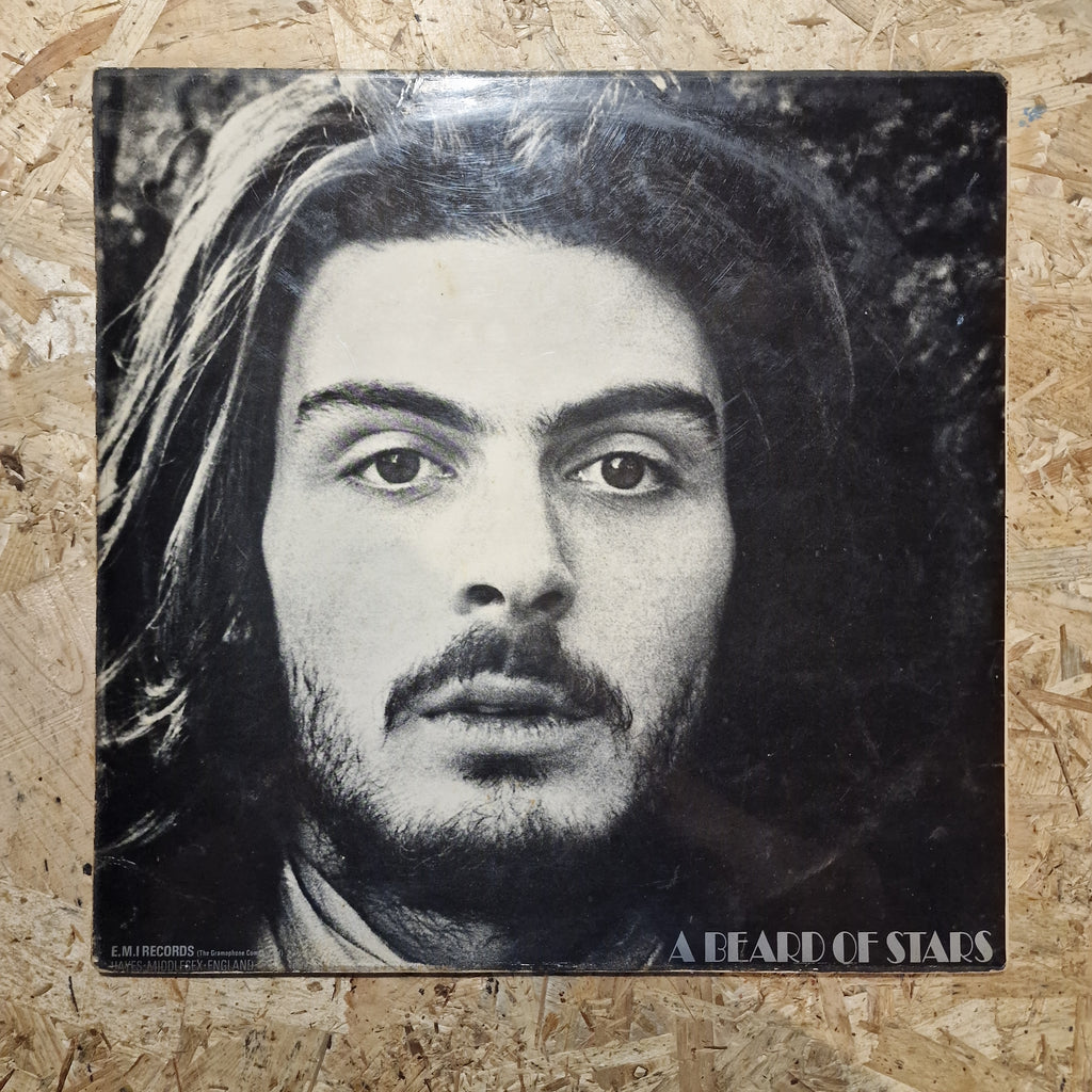 Tyrannosaurus Rex ‎– A Beard Of Stars