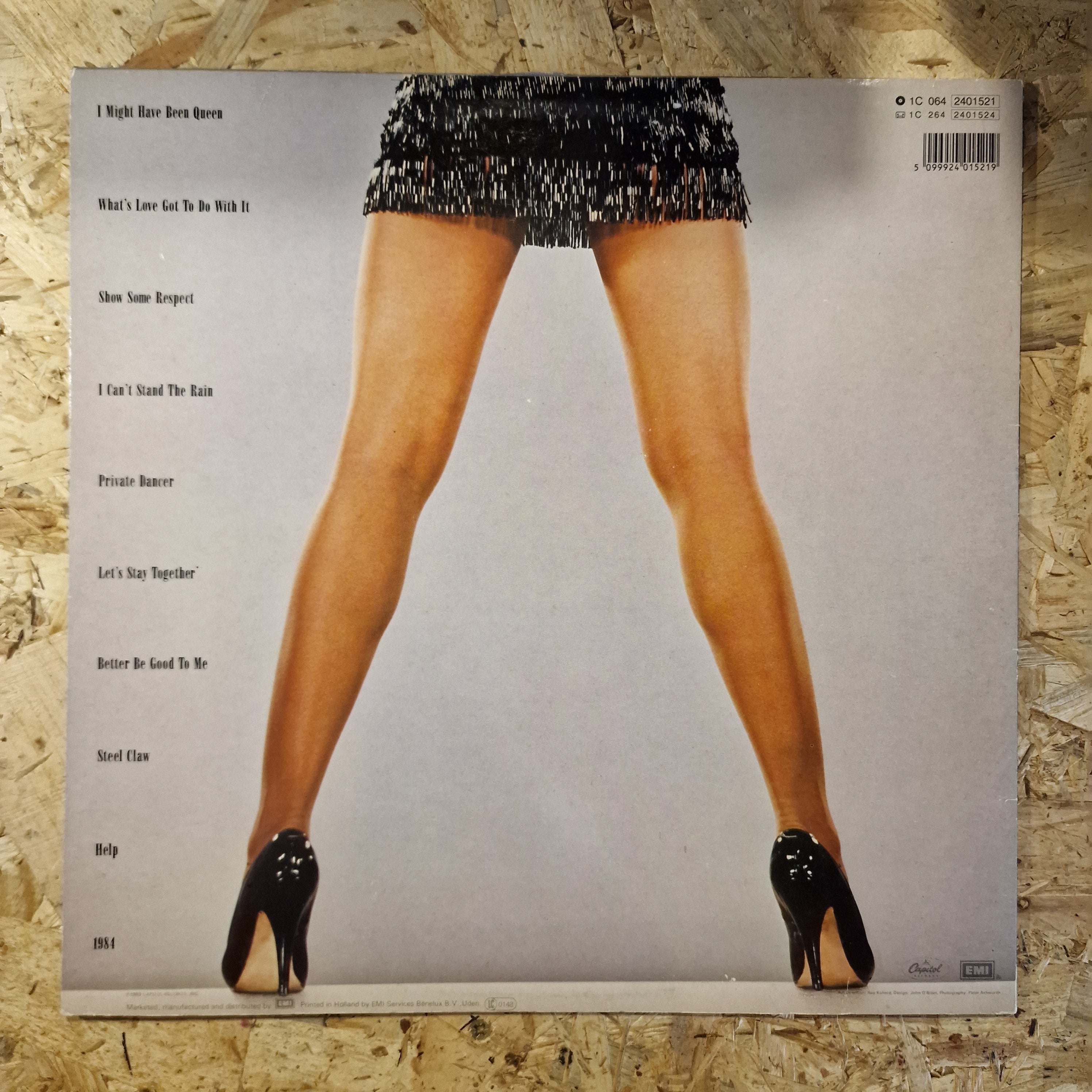 Tina Turner – Private Dancer