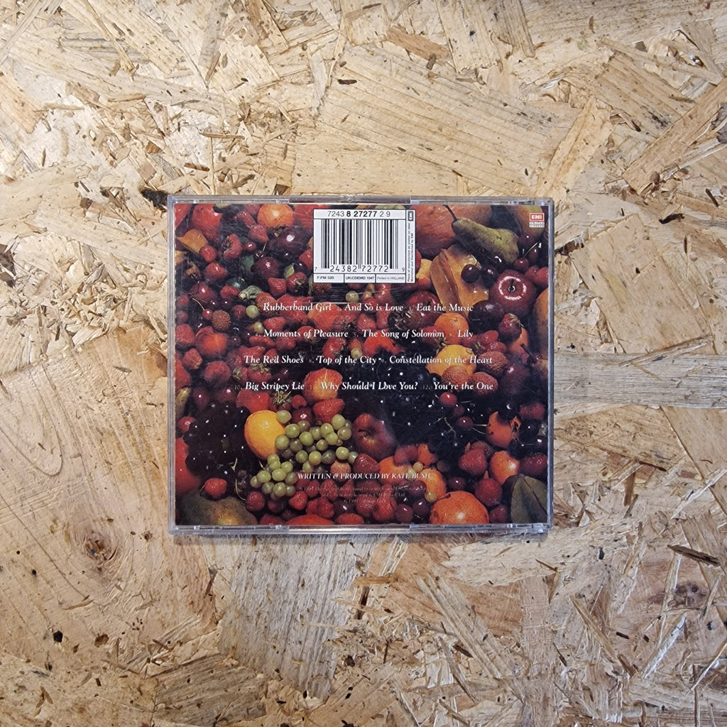 Kate Bush – The Red Shoes