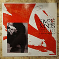 Simple Minds – Sanctify Yourself (Extended Mix)