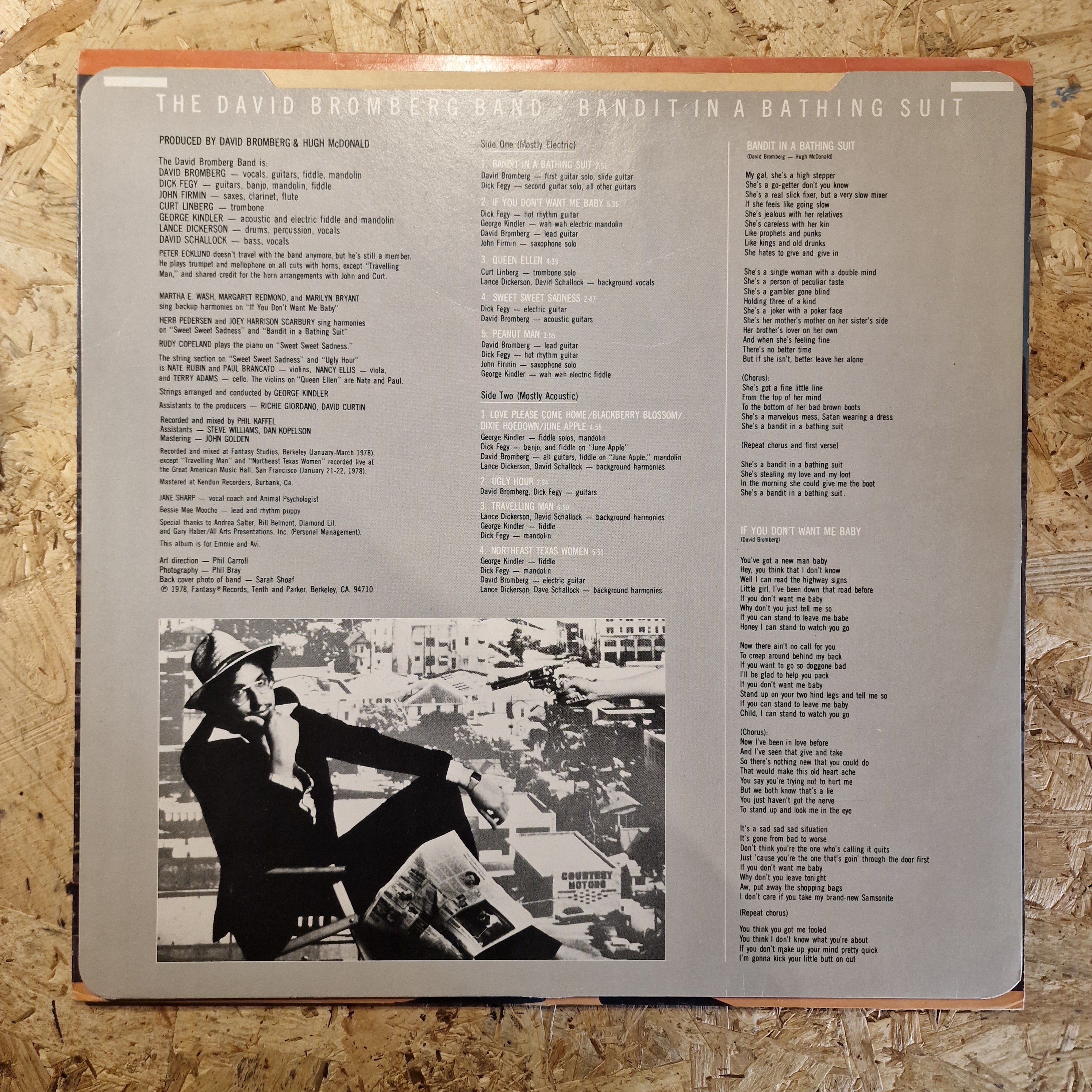 David Bromberg Band – Bandit In A Bathing Suit