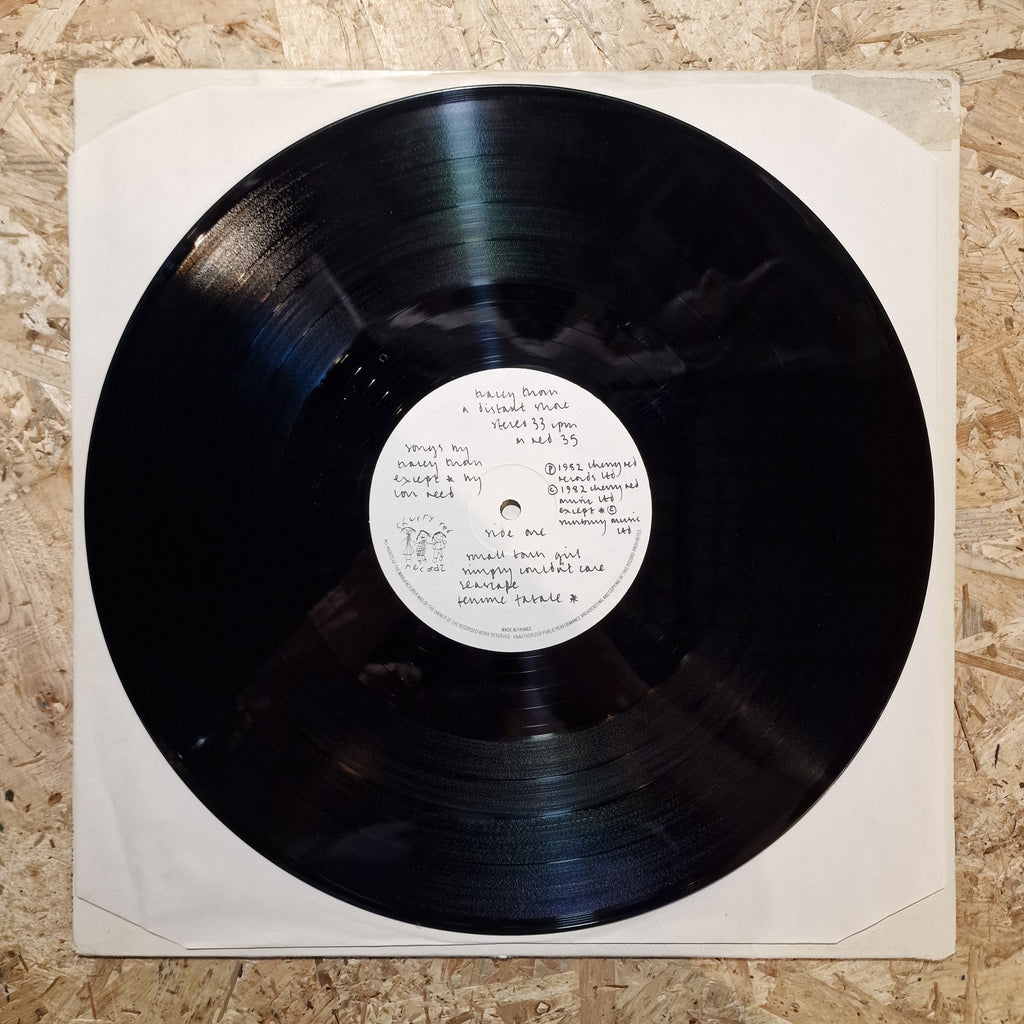 Tracey Thorn – A Distant Shore