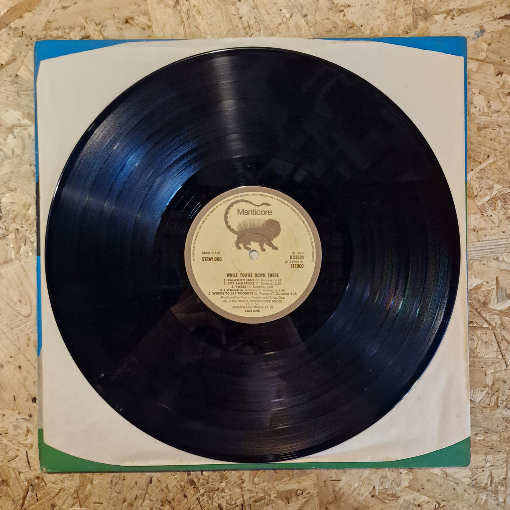 Stray Dog – While You're Down There