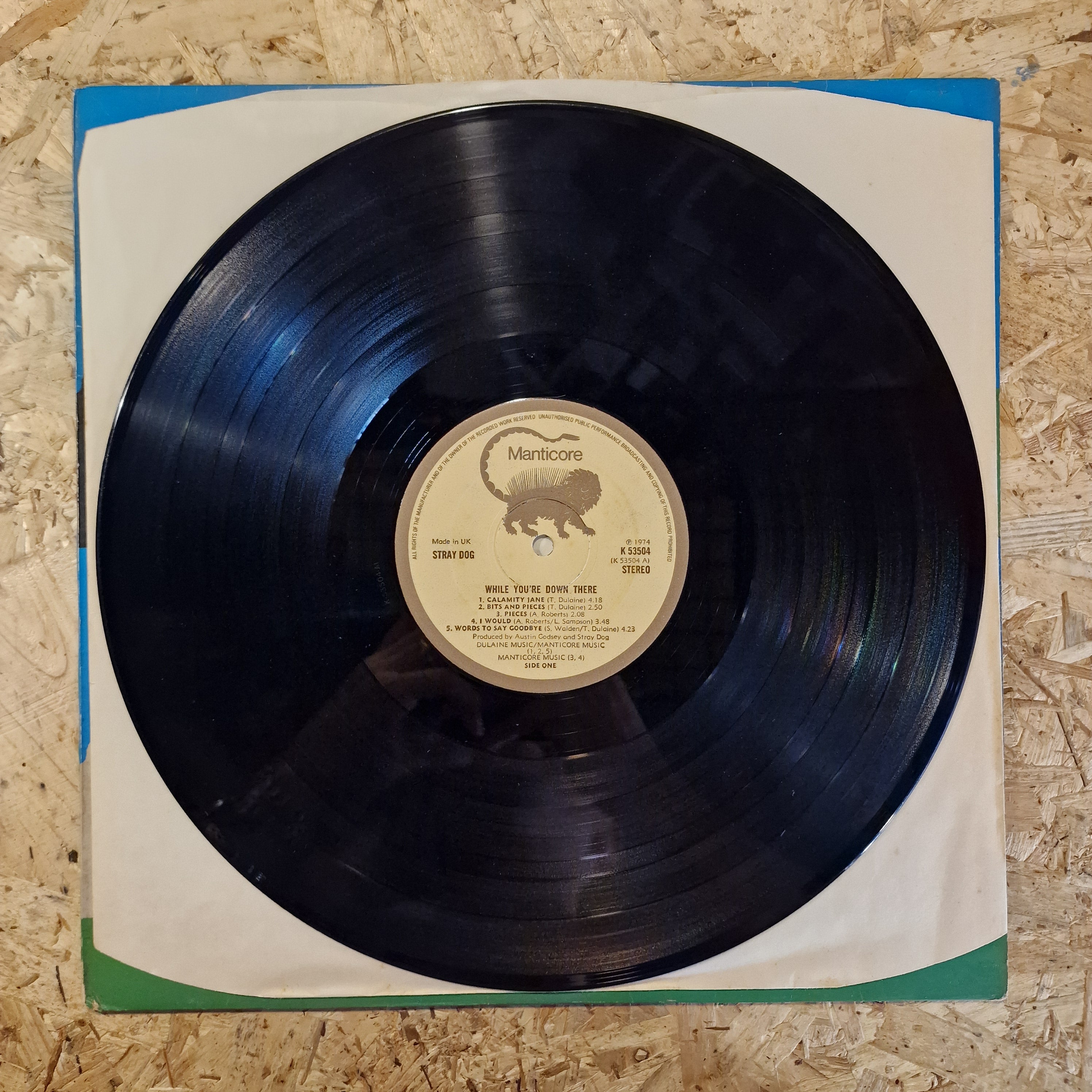 Stray Dog – While You're Down There