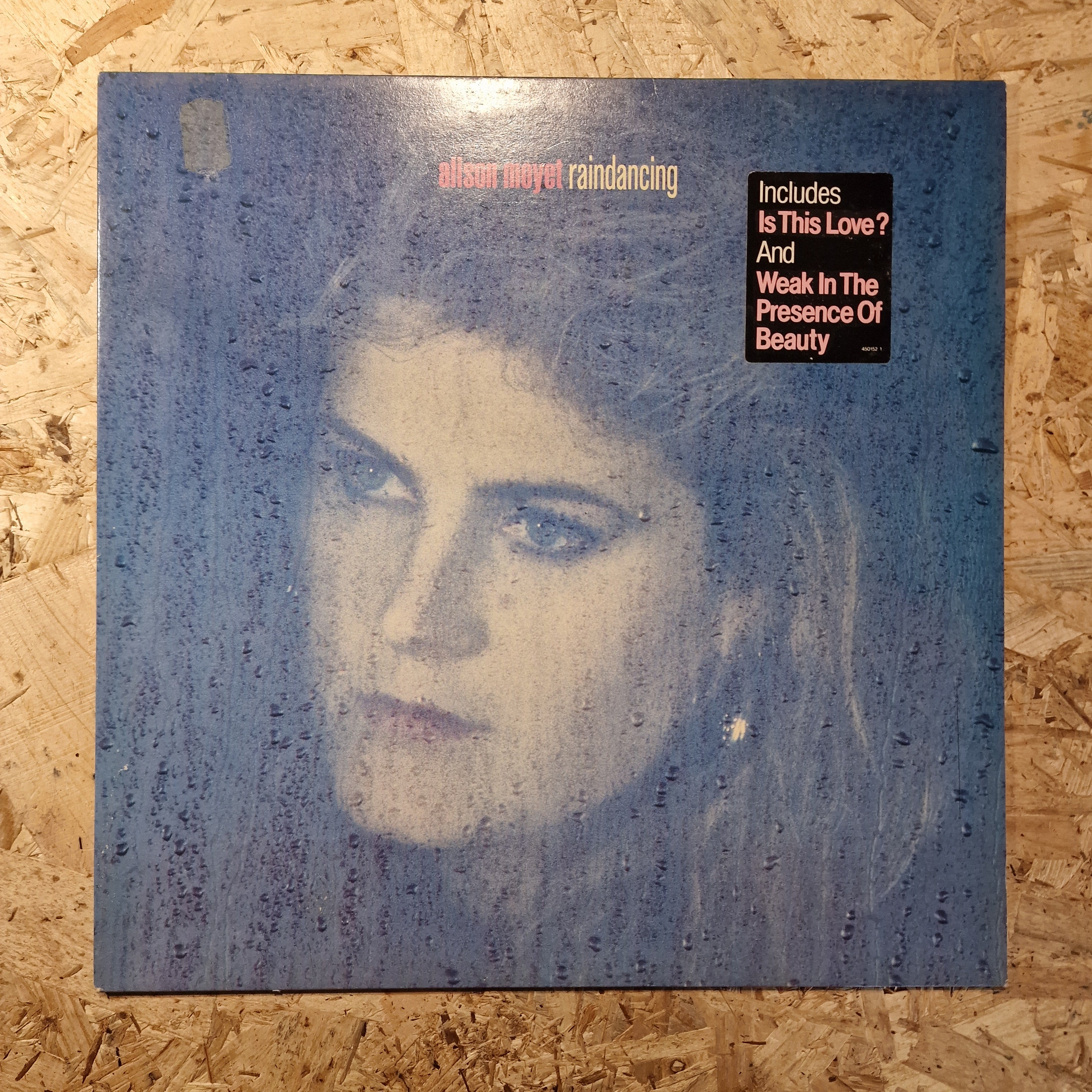 Alison Moyet – Raindancing