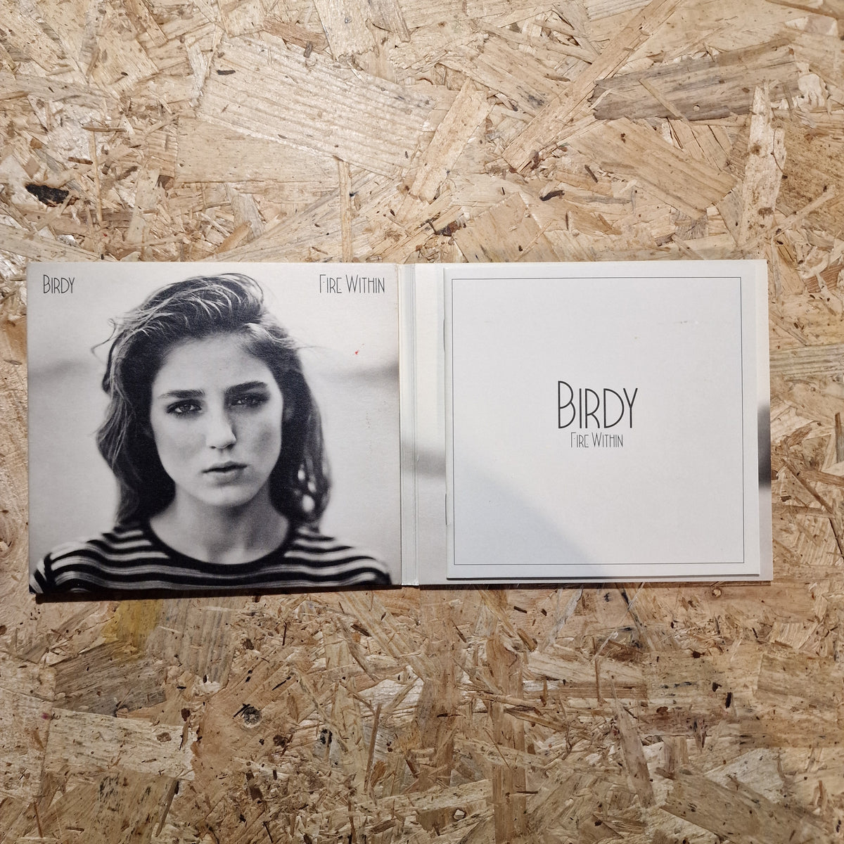 Birdy – Fire Within