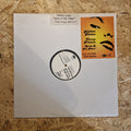Nathan Haines Featuring Verna Francis – Earth Is The Place (Jon Cutler Remixes)