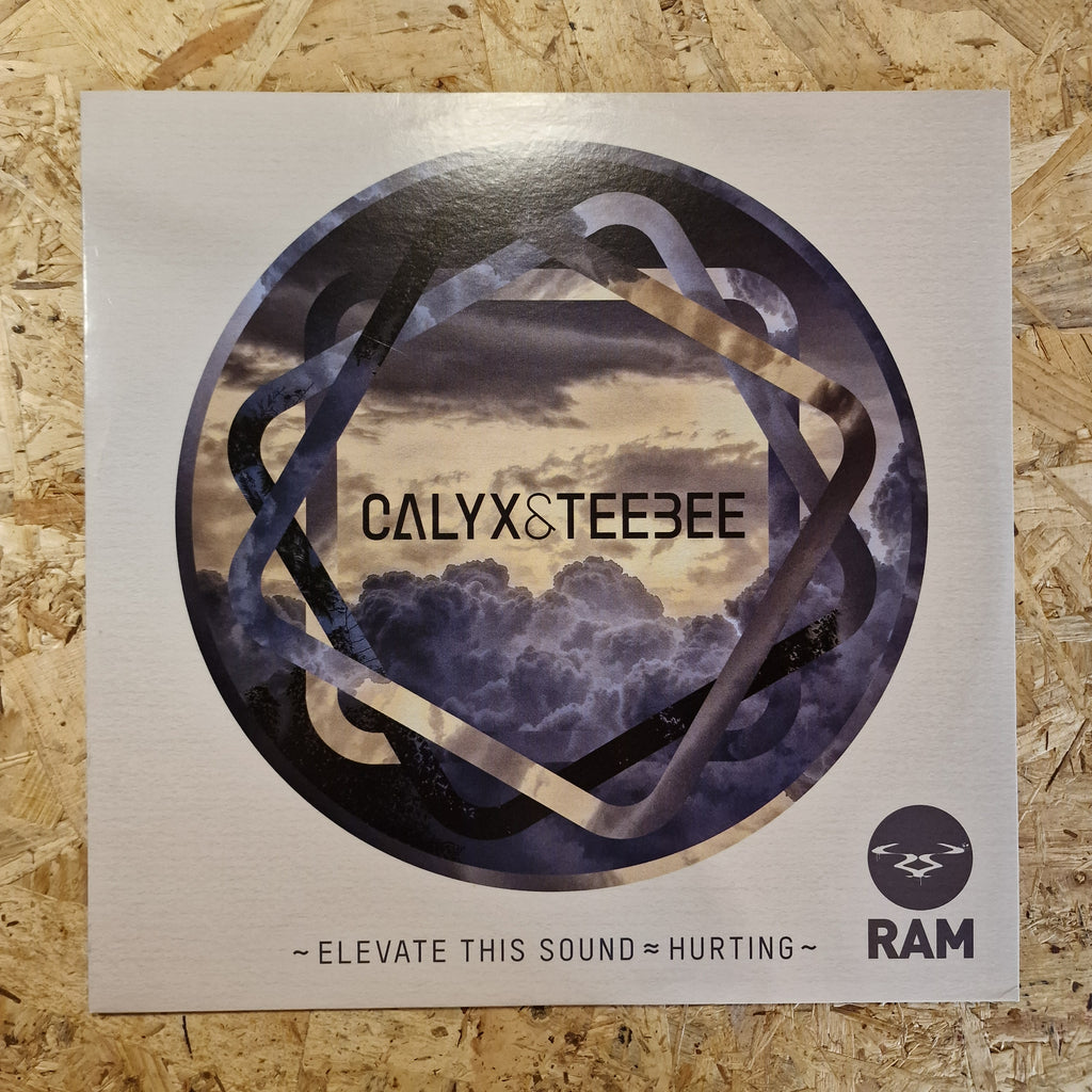 Calyx & TeeBee – Elevate This Sound / Hurting