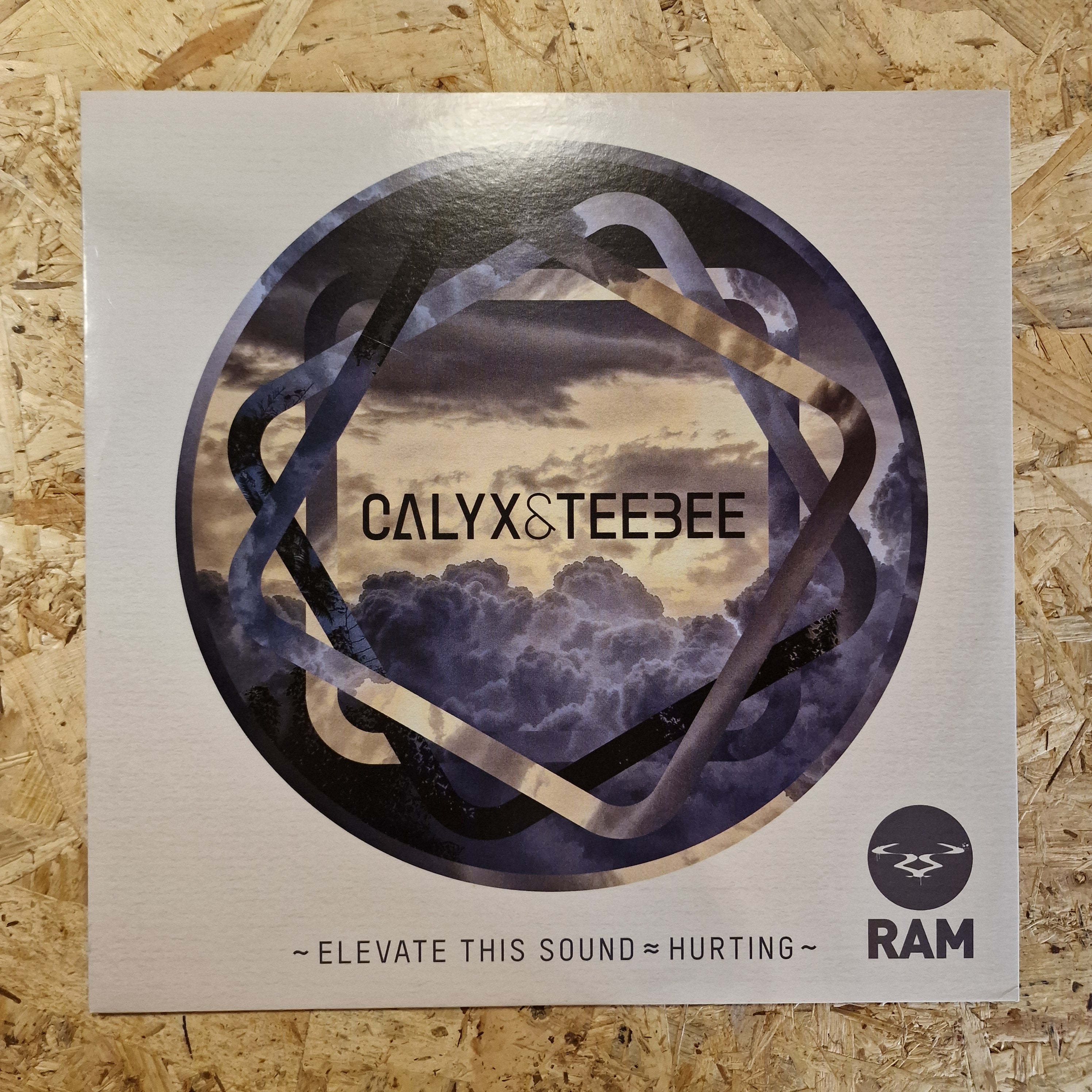 Calyx & TeeBee – Elevate This Sound / Hurting