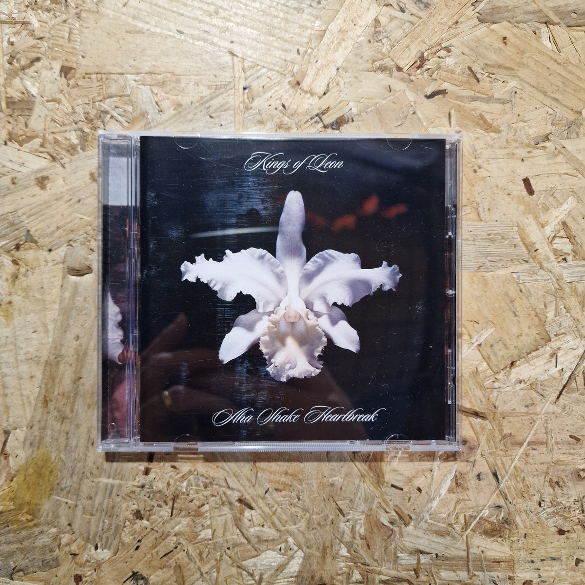 Kings Of Leon – Aha Shake Heartbreak