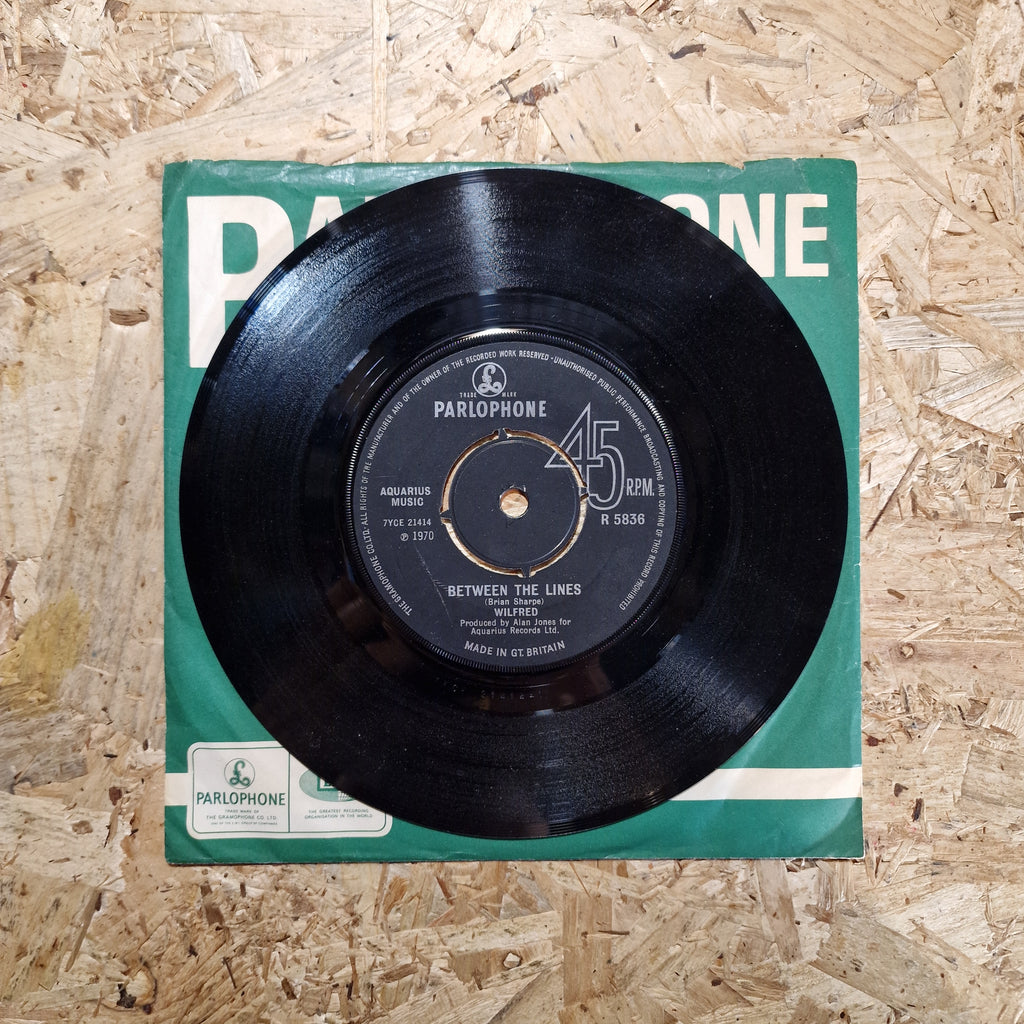 Wilfred – Candle In The Wind
