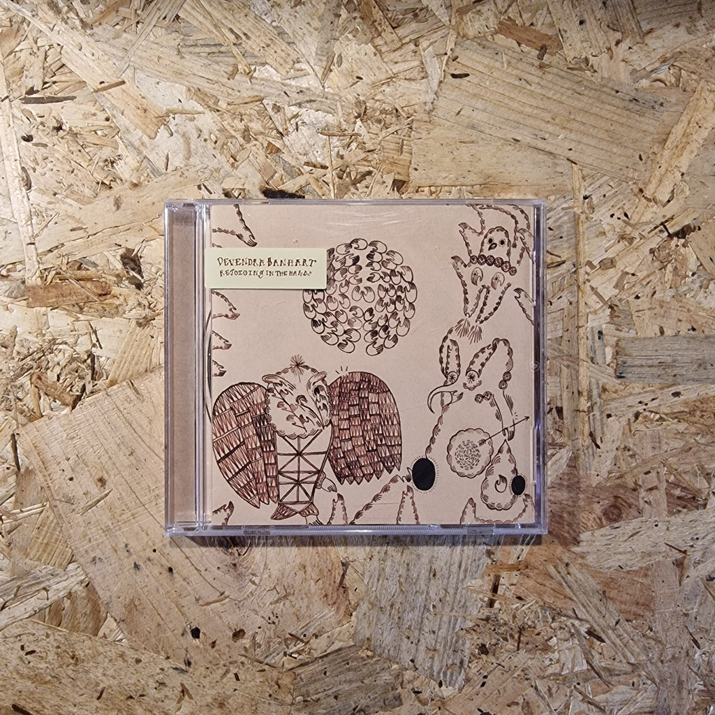 Devendra Banhart – Rejoicing In The Hands